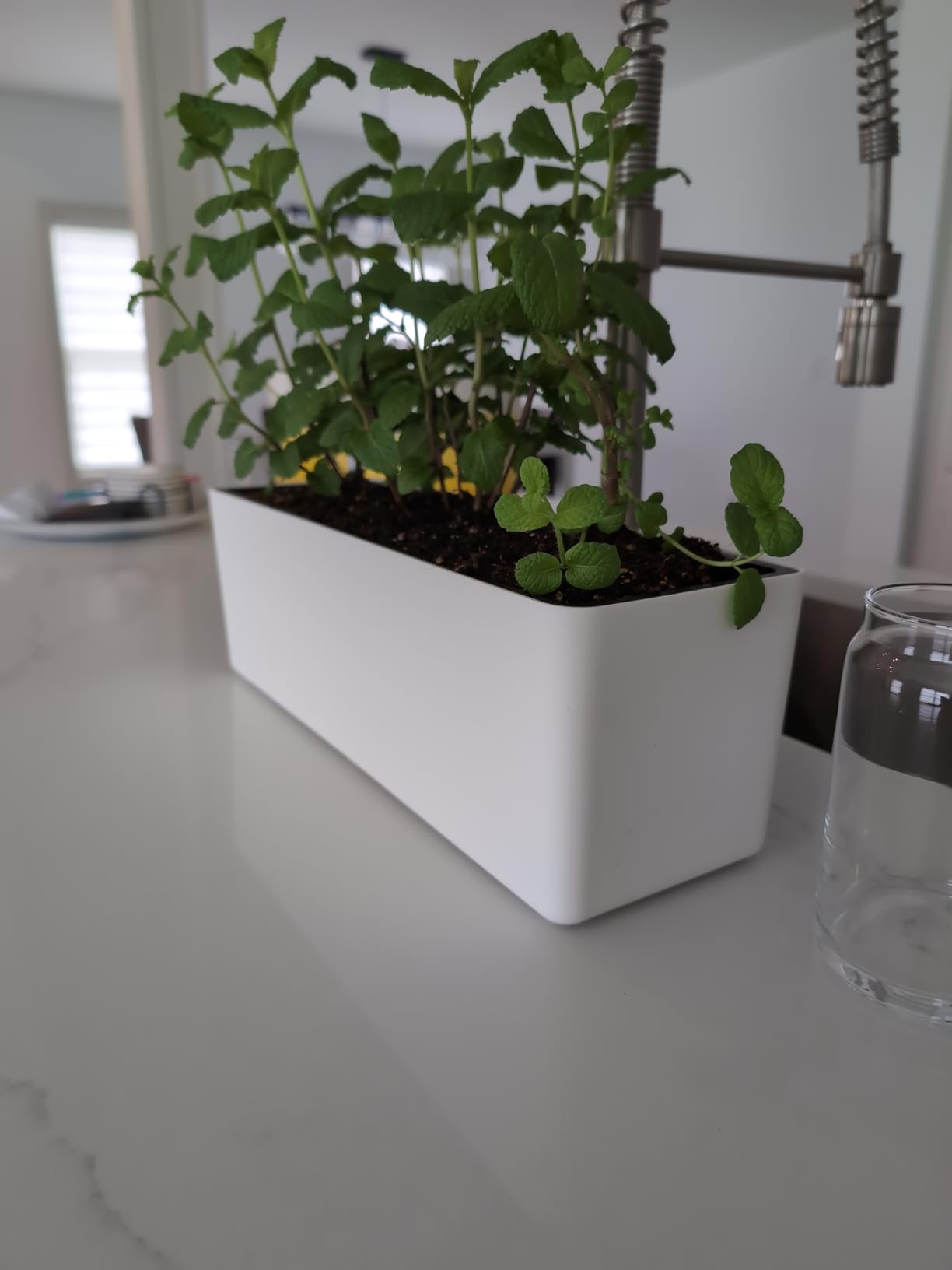 Elongated Self Watering Planter Pots 2-Pack Window Box 5.5 x 16 inch Indoor Home Garden Modern Decorative Planter Pot for All House Plants Flowers Herbs (White,2) customer photo 2