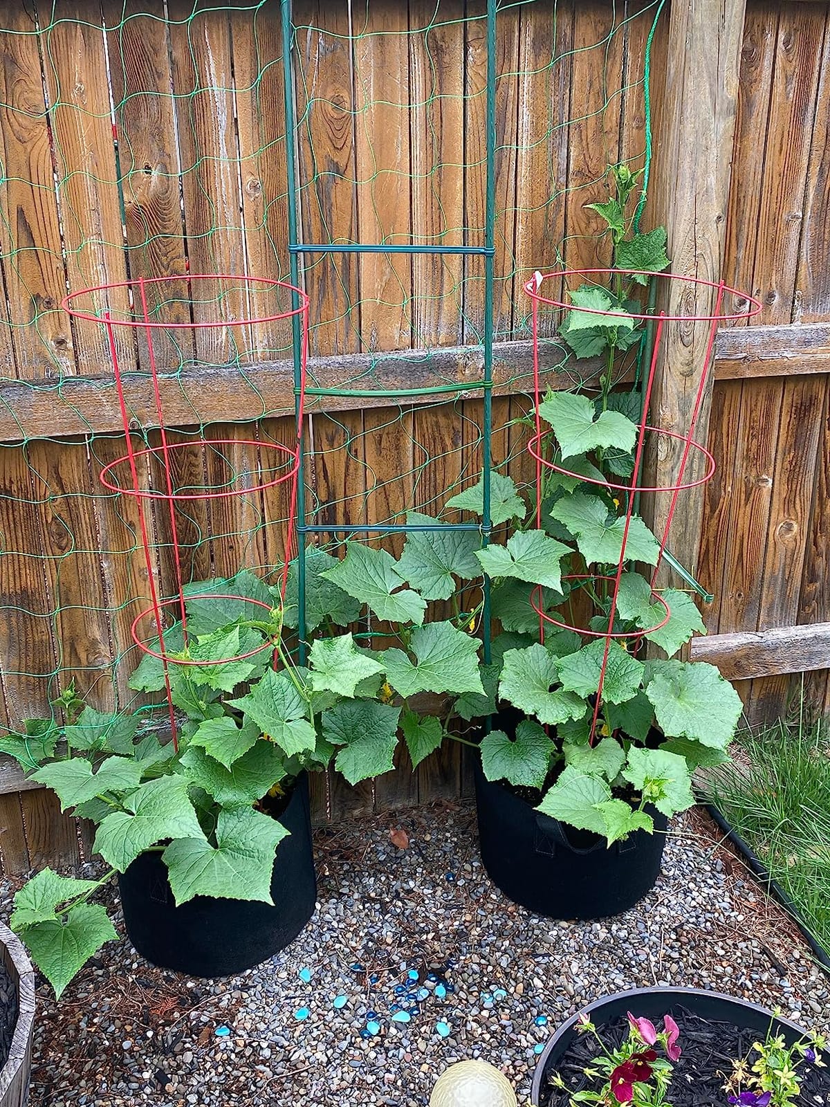 Trellis Netting for Climbing Plants, Cucumber/Tomato Garden Trellis Netting | Heavy Duty Garden Netting for Trellis for Climbing Plants Outdoor, Thickened Plant Grow Net for Vine, Fruits, Vegetables, Bean customer photo 1