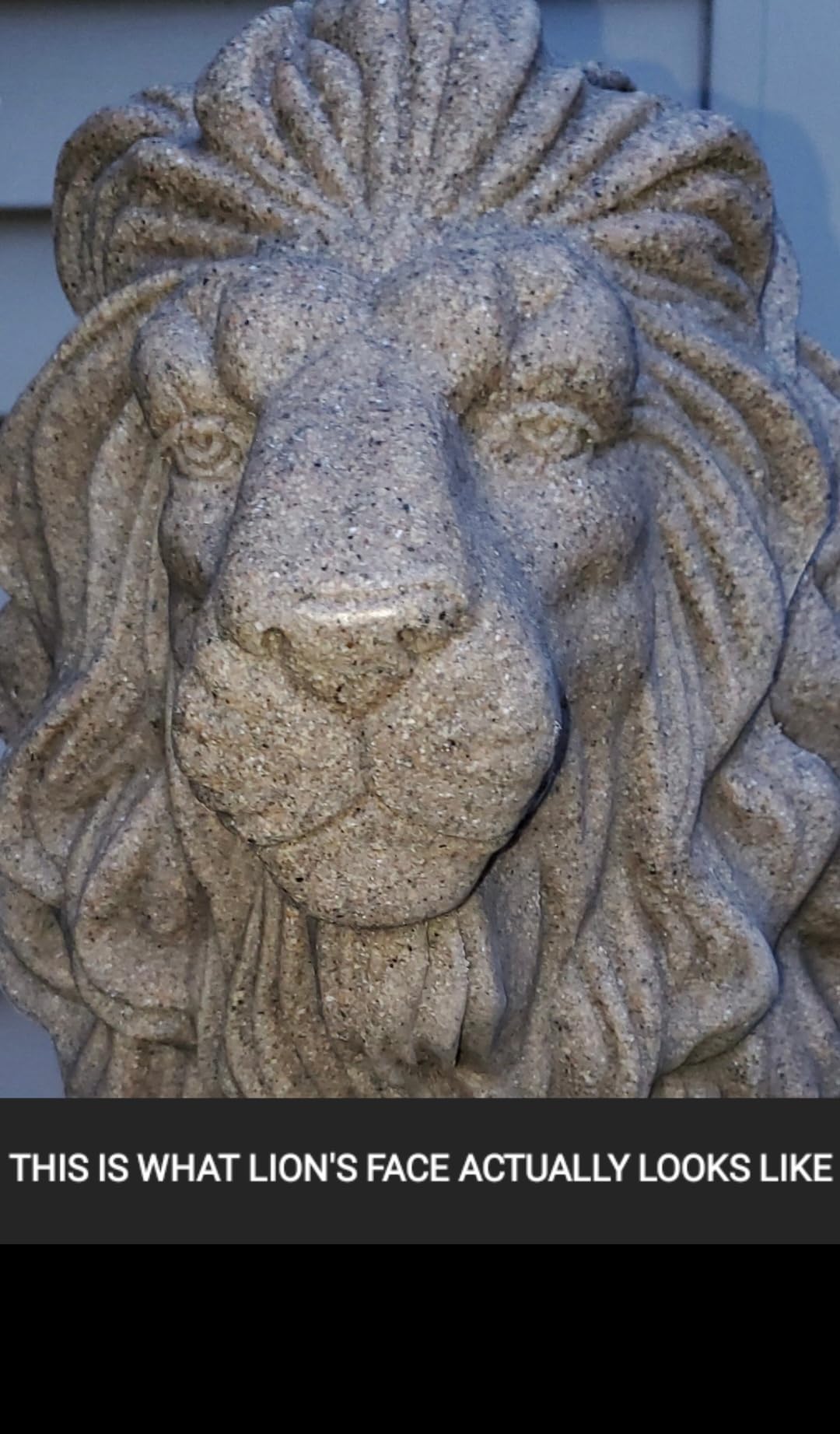 EMSCO Group Guardian Lion Statue Natural Granite Appearance Made of Resin Lightweight 28