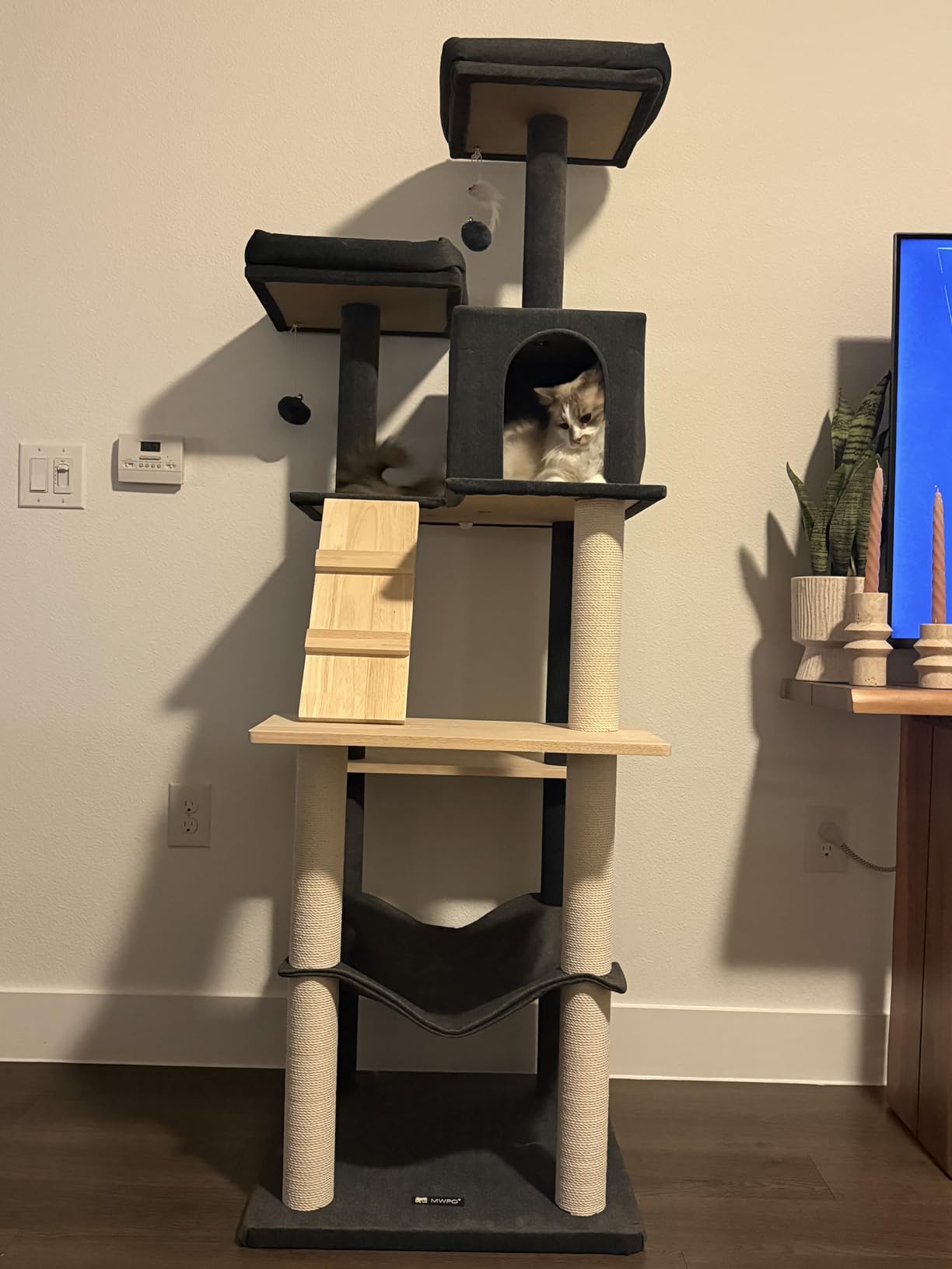 MWPO Large Modern Cat Tree, 70.1-Inch Wood Cat Tower for Indoor Cats, Multi-Level Tall Cat Condo with 2 Padded Perches, Hammock, Scratching Posts, Dangling Toys, Beige customer photo 2