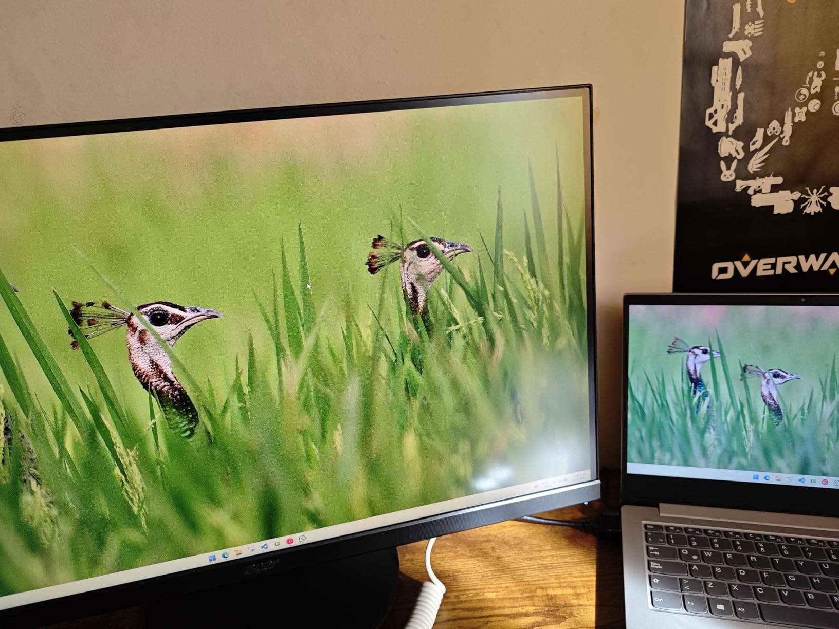 Acer Nitro 27in QHD 2560x1440 IPS 180Hz Gaming Monitor XV271U M3bmiiprx | 0.5ms, AMD FreeSync, DCI-P3 95%, 2xHDMI, DisplayPort, Ergo Stand, Speaker customer photo 2