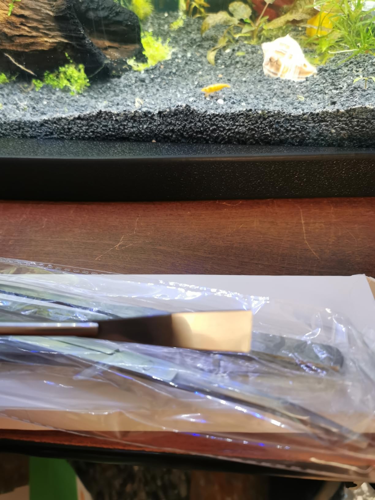 4Pcs Aquascaping Tools, Jeimier Aquascape Kit, Long and Strong Aquarium Tweezers, Scissors, Algae Scraper, Aquarium Plant Tools, Fish Tank Plant Trimming Kit customer photo 1