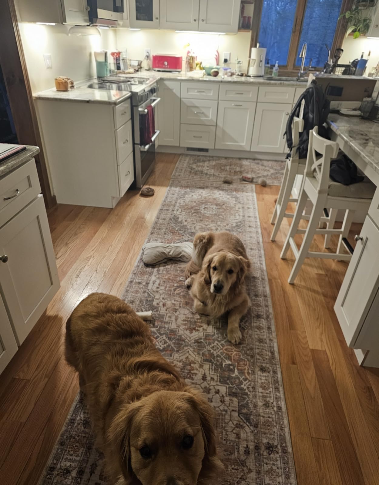 Madane Washable Runner Rugs 2x12 Long for Hallway Kitchen, Turmeric/Grey | Non-Slip Vintage Printed 12ft Rug Runners with Rubber Backing, Thin Low-Pile Floor Carpet Laundry Room Entryway, Corridor customer photo 1