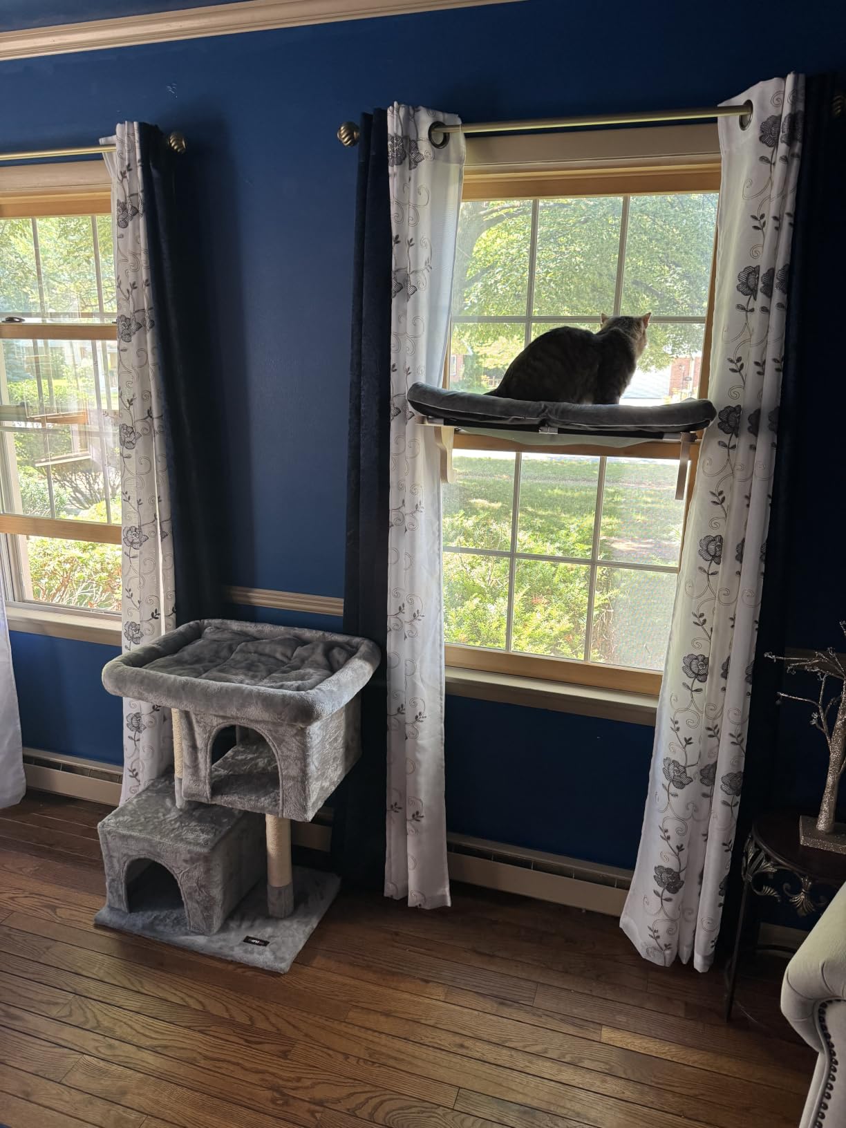 Zakkart Cat Perch for Window Sill with Bolster - Orthopedic Hammock Design with Premium Hardwood & Robust Metal Frame - Cat Window Seat for Large Cats and Kittens - Natural Color Wood Gray Bed, 24''W customer photo 2