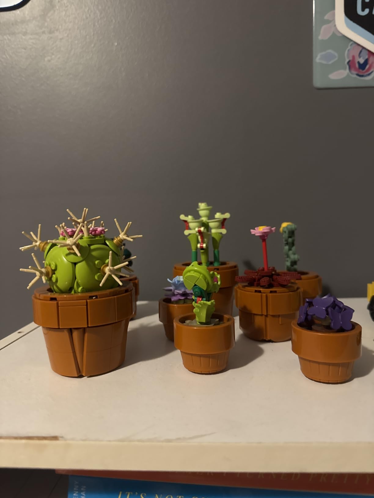 LEGO Botanicals Tiny Plants - Artificial, Fake Indoor Plant Building Set for Home, Kitchen, Desk Decoration, Adults Ages 18+ - Gift for Birthdays - 10329 customer photo 1