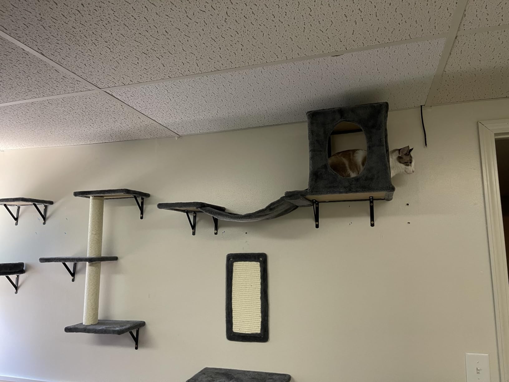 NUNU LAB Cat Wall Shelves, 6 Pcs Luxury Wall-Mounted Cat Climber Set, Indoor Cat Furniture with 1 Condos House, 2 Cat Wall Shelves, 1 Scratching, 1 Bridge Ladder, 1 Scratching Pad, Dark Gray customer photo 1