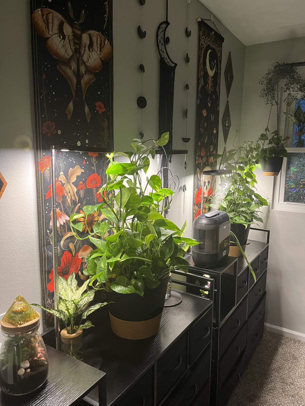 YNNICO Indoor Self Watering Planters with Drainage Holes and Saucers, 8, 7, 6.5, 6, 5.5, 5 Inches, Black, 6 Pots customer photo 1