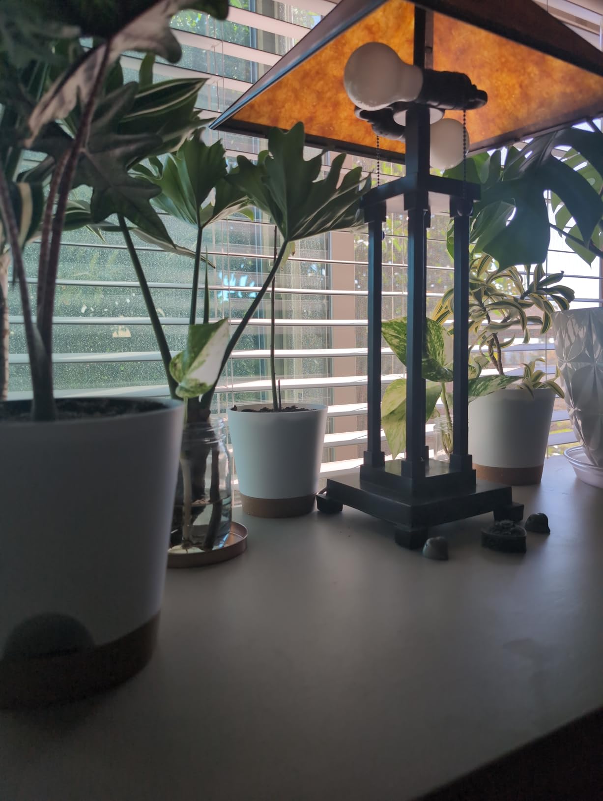 YNNICO Indoor Self Watering Planters with Drainage Holes and Saucers, 8, 7, 6.5, 6, 5.5, 5 Inches, Black, 6 Pots customer photo 2
