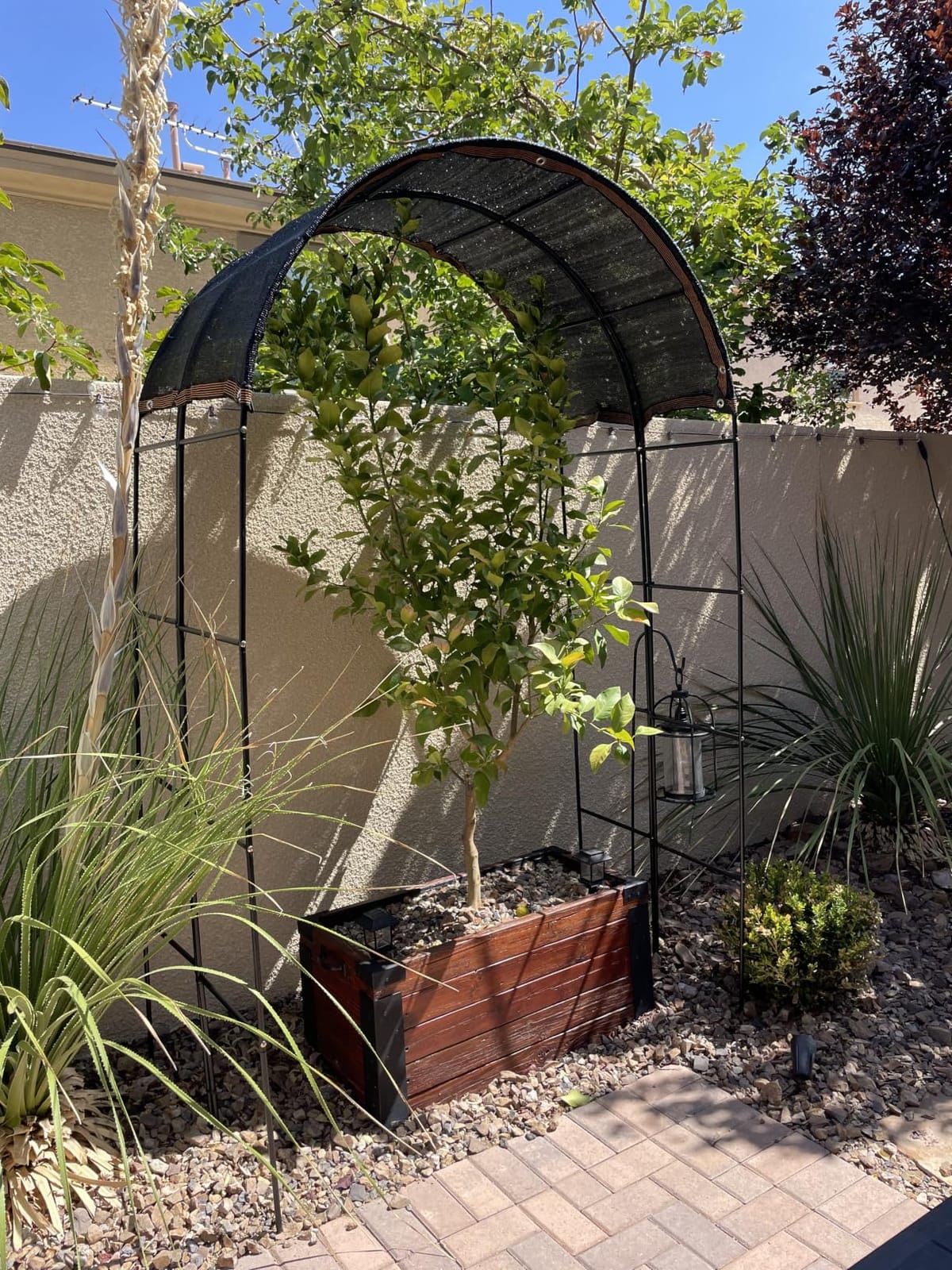 RUBFAC 7.8ft Garden Arch, Metal Trellis for Climbing Plants Outdoor | Black Garden Arbors, Plant Stand Outdoor Archway Frame for Backyard Decor, Halloween Christmas Fall Party Decorations customer photo 2