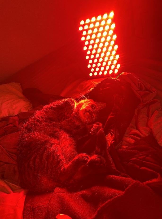 Hooga Red Light Therapy Panel Device - 630nm 660nm 810nm 850nm Red & Near Infrared Light Therapy, LED Light Therapy Lamp, 72 Quad Chip LEDs, Adjustable Brightness, Pulse Mode - ULTRA360 customer photo 2