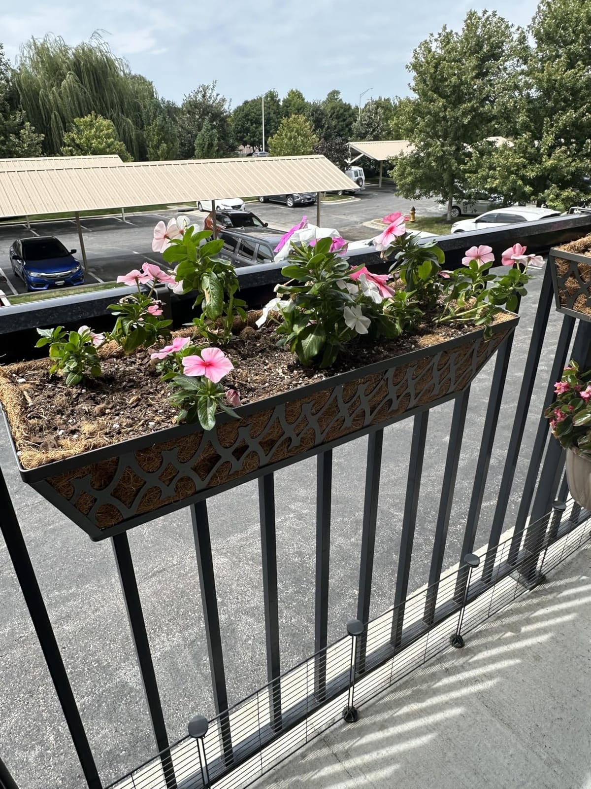 2 Pack 24 Inch Window Boxes Planters Railing Planter Box with Adjustable Brackets for Porch Fence Patio Balcony Hanging Flower Baskets with Coco Liners for Outdoor Garden Decor - Black customer photo 2