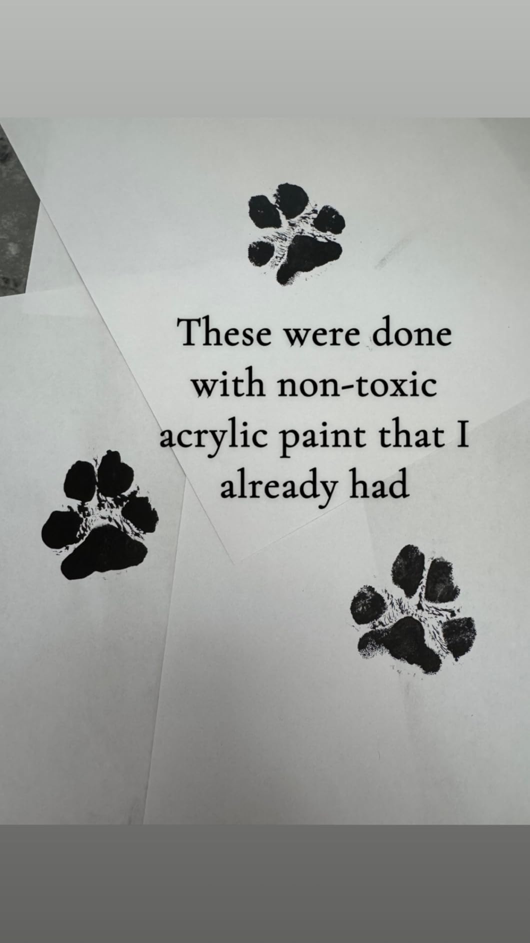 DeerZone Inkless Paw Print Kit, Dog Paw Print Kit, Dog Nose Print Kit | Clean Touch Ink Pads, 4 Ink Pads & 16 Imprint Cards, Pet Paw Print Impression Kit for Dogs Cats Baby Footprint Keepsake customer photo 1