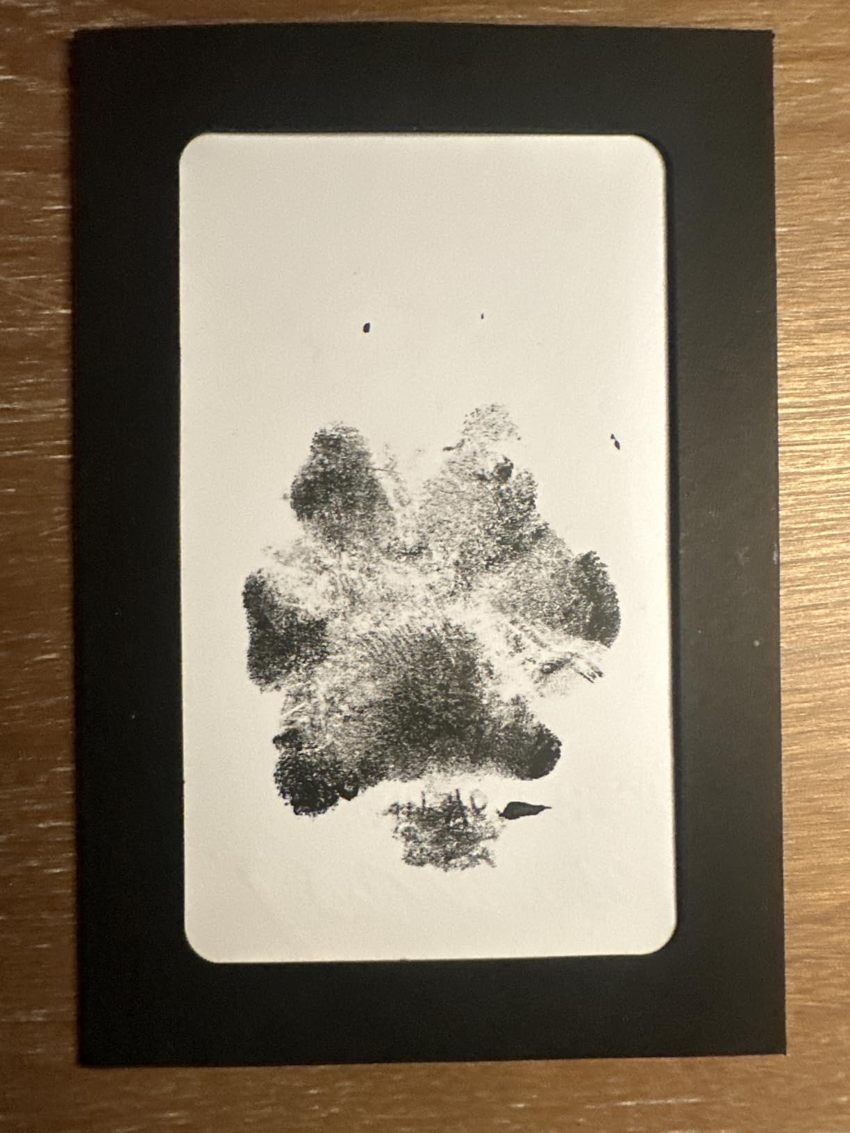 DeerZone Inkless Paw Print Kit, Dog Paw Print Kit, Dog Nose Print Kit | Clean Touch Ink Pads, 4 Ink Pads & 16 Imprint Cards, Pet Paw Print Impression Kit for Dogs Cats Baby Footprint Keepsake customer photo 2