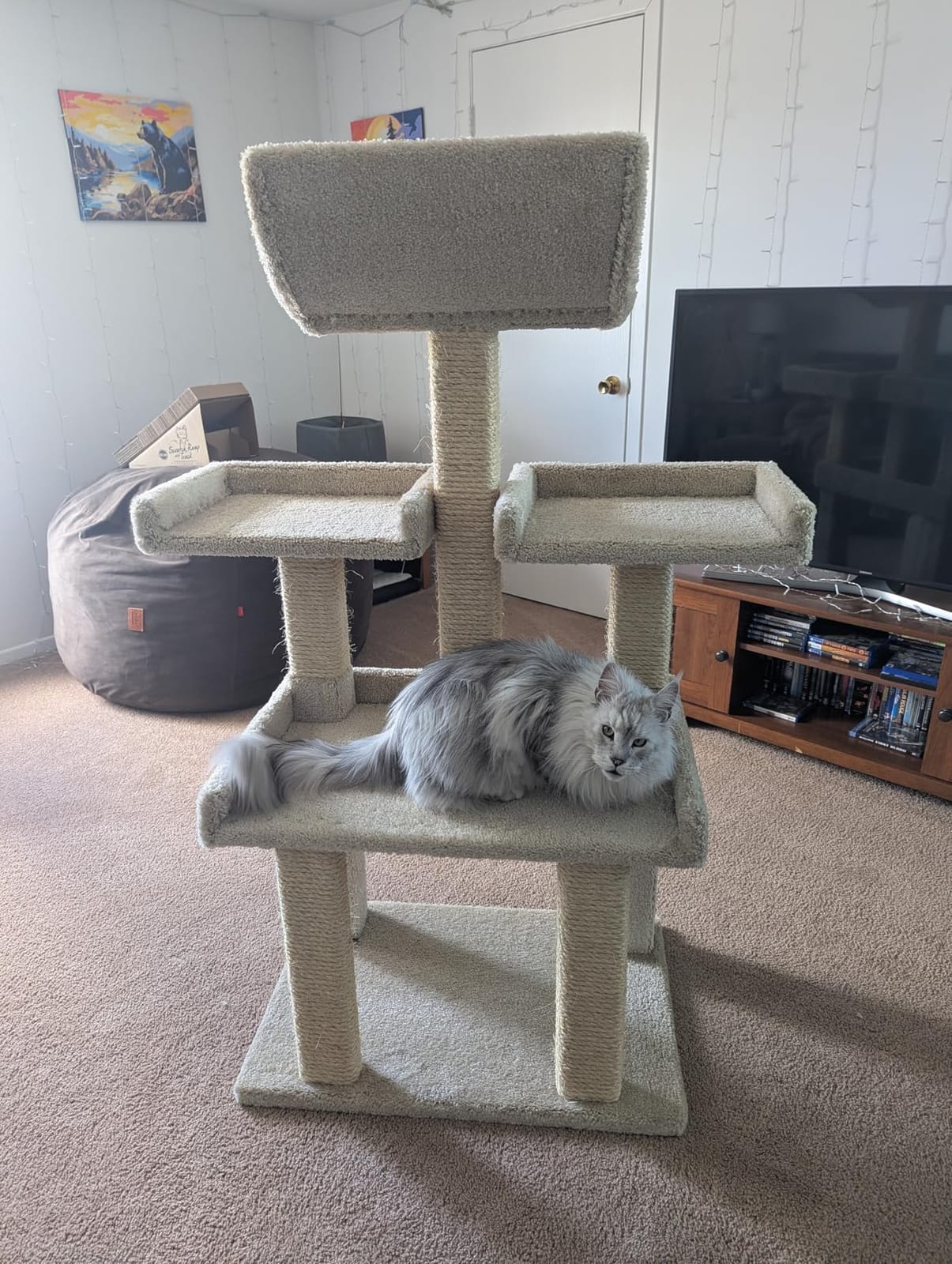 Prestige Cat Trees Extra Large Cat Tree Tower for Big Cats, Solid Wood Construction customer photo 2