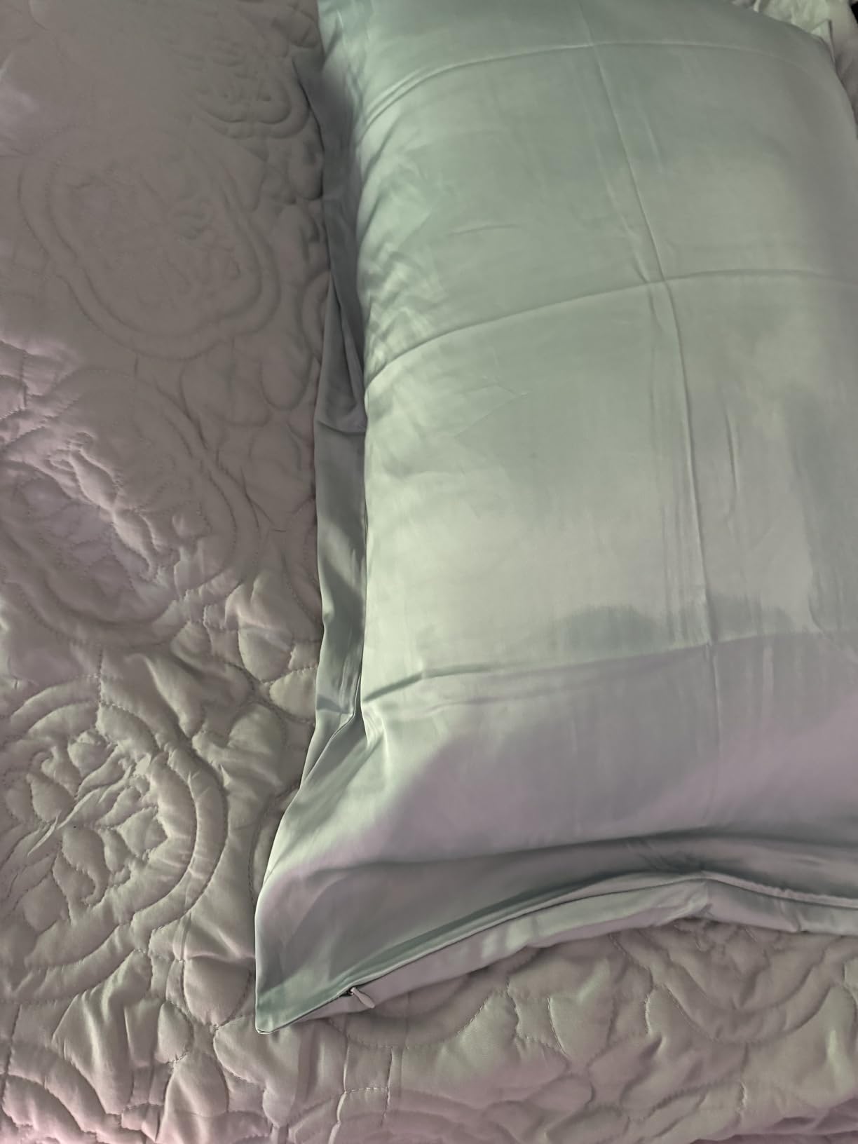 Gabire Mulberry Silk Pillow Cases Set of 2, Both Sides Real Silk Pillowcase for Hair and Skin Prevent Acne Pillowcase Organic Silk Pillowcase 2 Pack with Hidden Zipper, Champagne, Standard (20