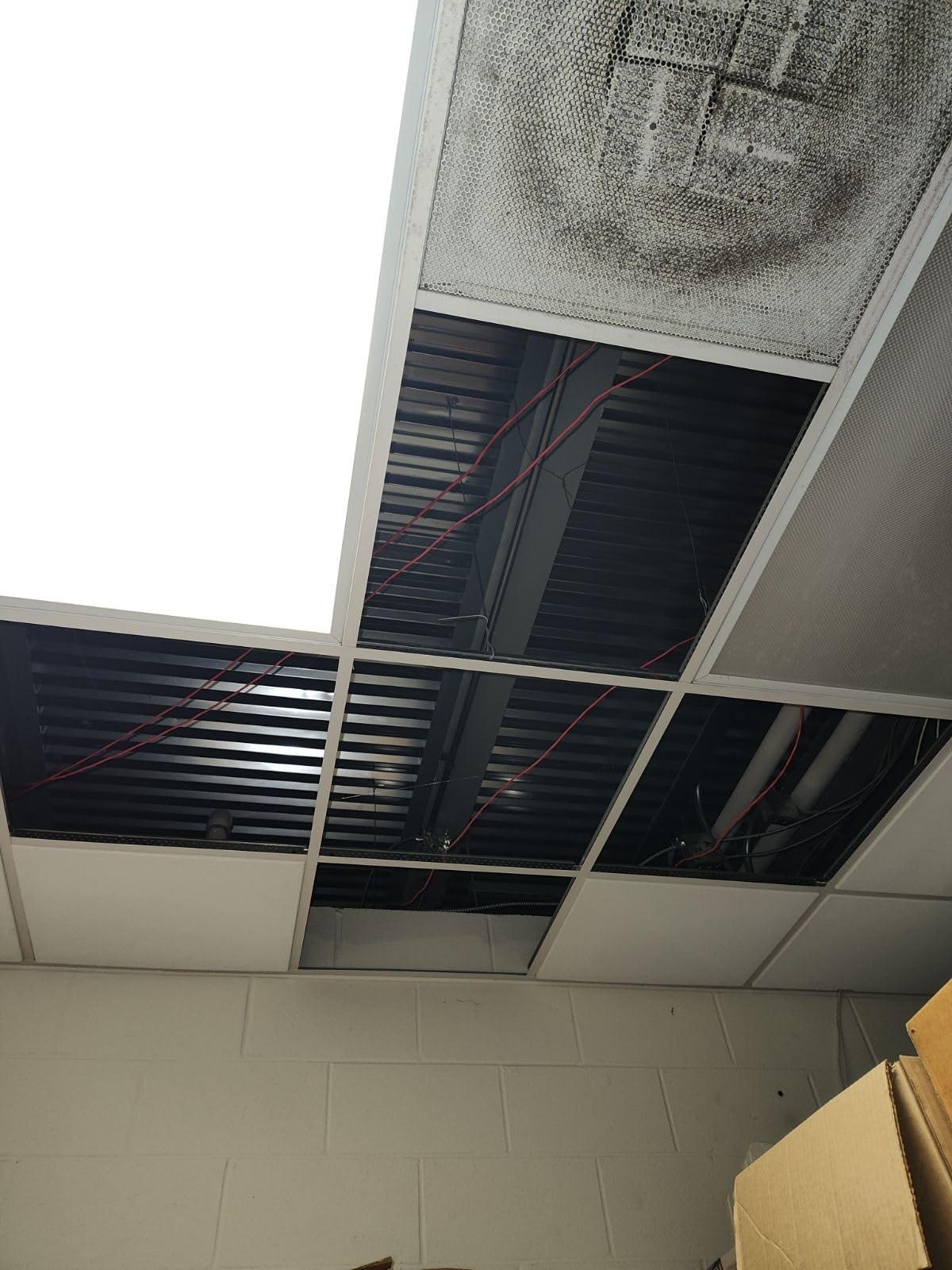 Noooza PVC Drop Ceiling Tiles 2ft x 2ft - Waterproof, Fire-Rated, Commercial Grade, Washable & Scratch Resistant, No Sag and Breakage - Easy Drop-in Installation - Case of 12 (48 sq. ft.) customer photo 2