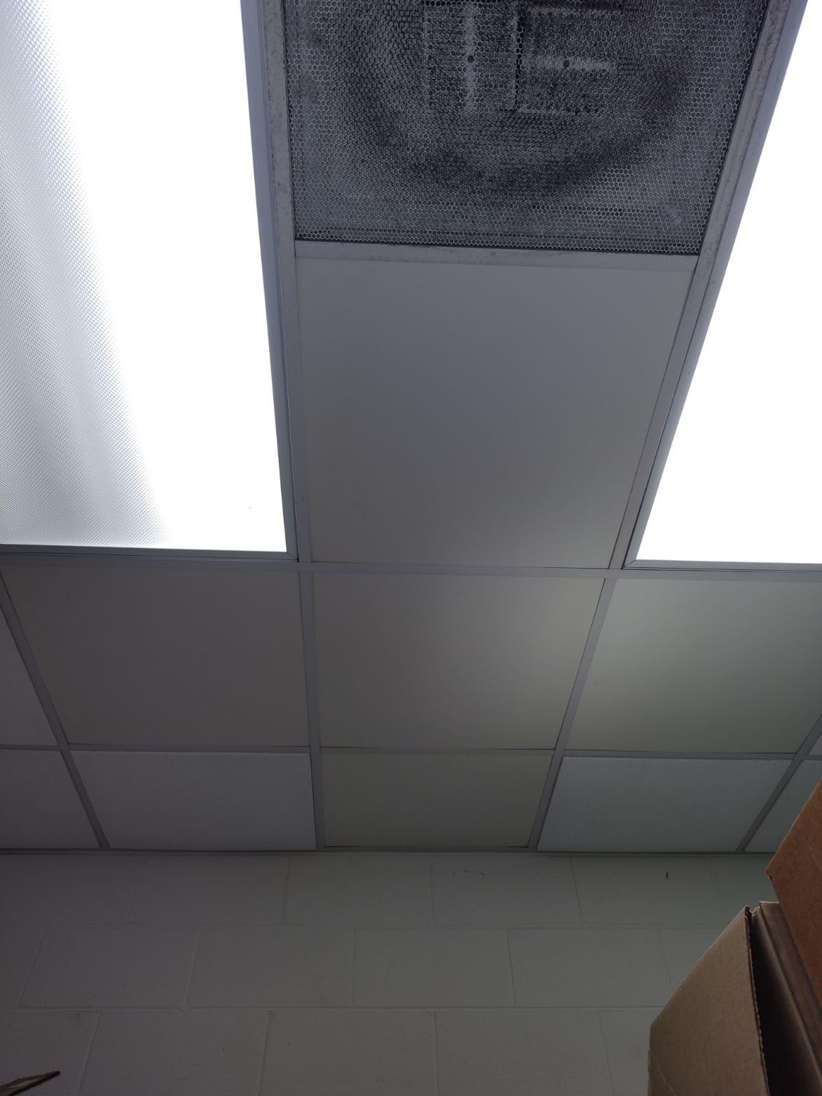 PVC Drop Ceiling Tiles 2ft x 4ft - Waterproof, Fire-Rated, Commercial Grade, Washable & Scratch Resistant, No Sag and Breakage - Easy Drop-in Installation - Case of 10 (80 sq. ft.) customer photo 2