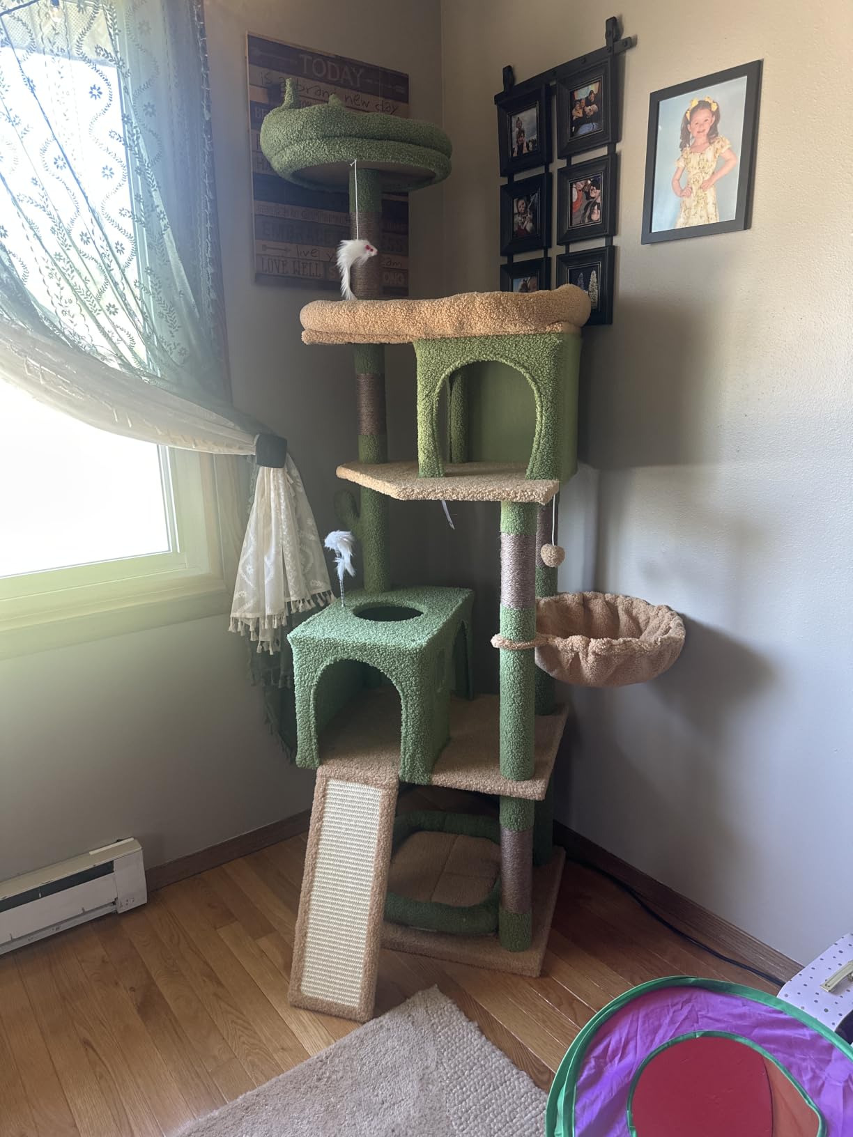 Globlazer Heavy Duty Cat Tree S72, Sturdy 72in Maine Coon Cat Tree for Large Cats 20 lbs+ with 6 Scratching Posts, Hammock, Dark Gray customer photo 1