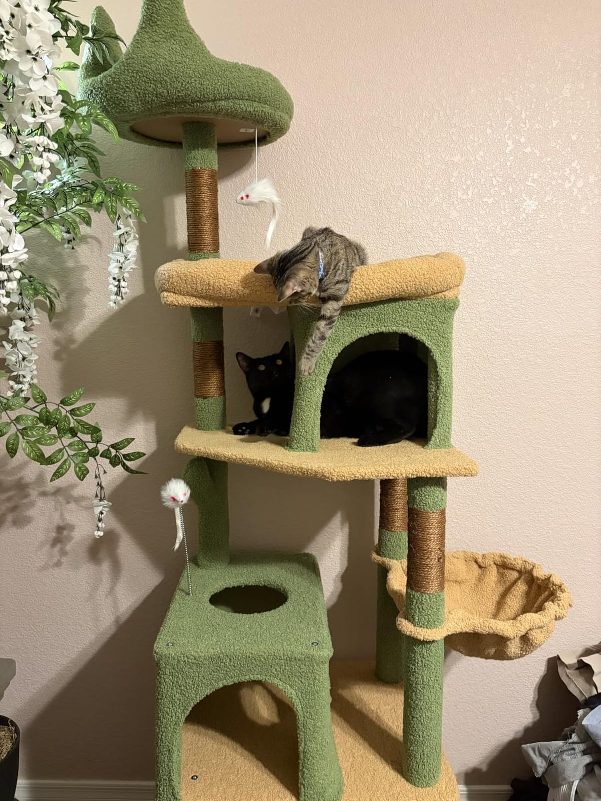Globlazer Heavy Duty Cat Tree S72, Sturdy 72in Maine Coon Cat Tree for Large Cats 20 lbs+ with 6 Scratching Posts, Hammock, Dark Gray customer photo 2