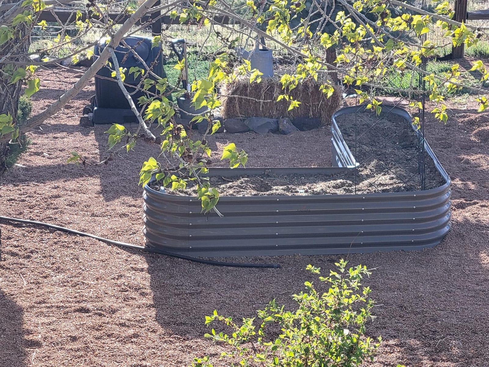 Anleolife 8x4x2ft Oval Deep Root Galvanized Raised Garden Bed, Quartz Grey | 478-Gallon Capacity, 24in Soil Depth, Interior Bracing and Broad Crop-Row Space customer photo 2