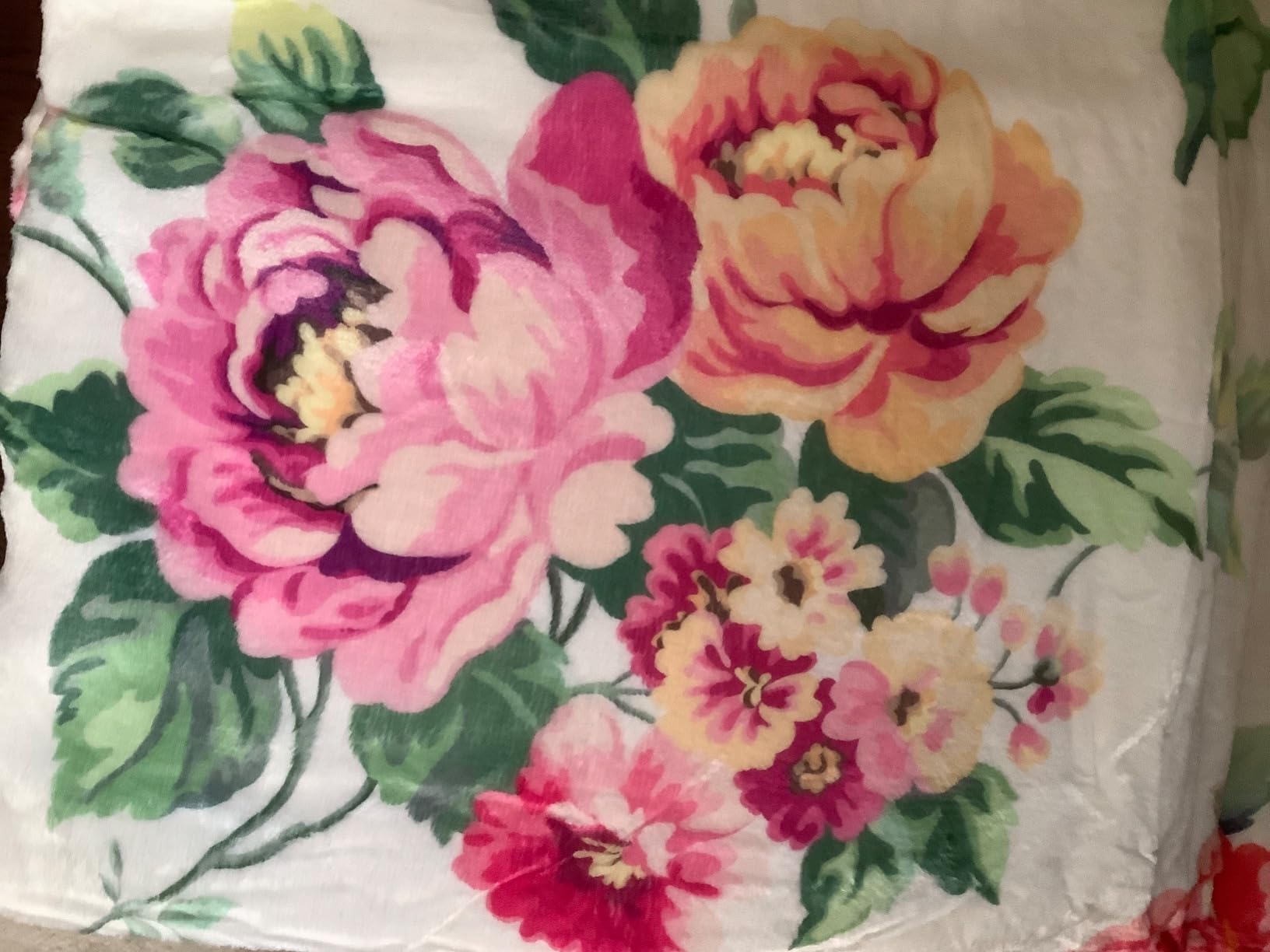 Floral Blanket Vintage Flowers Blankets Butterfly Wildflowers Throw Blanket Soft Cozy Flannel Fleece Throw Blanket Colorful Daisy Plants Bed Blanket for Couch Sofa, 50