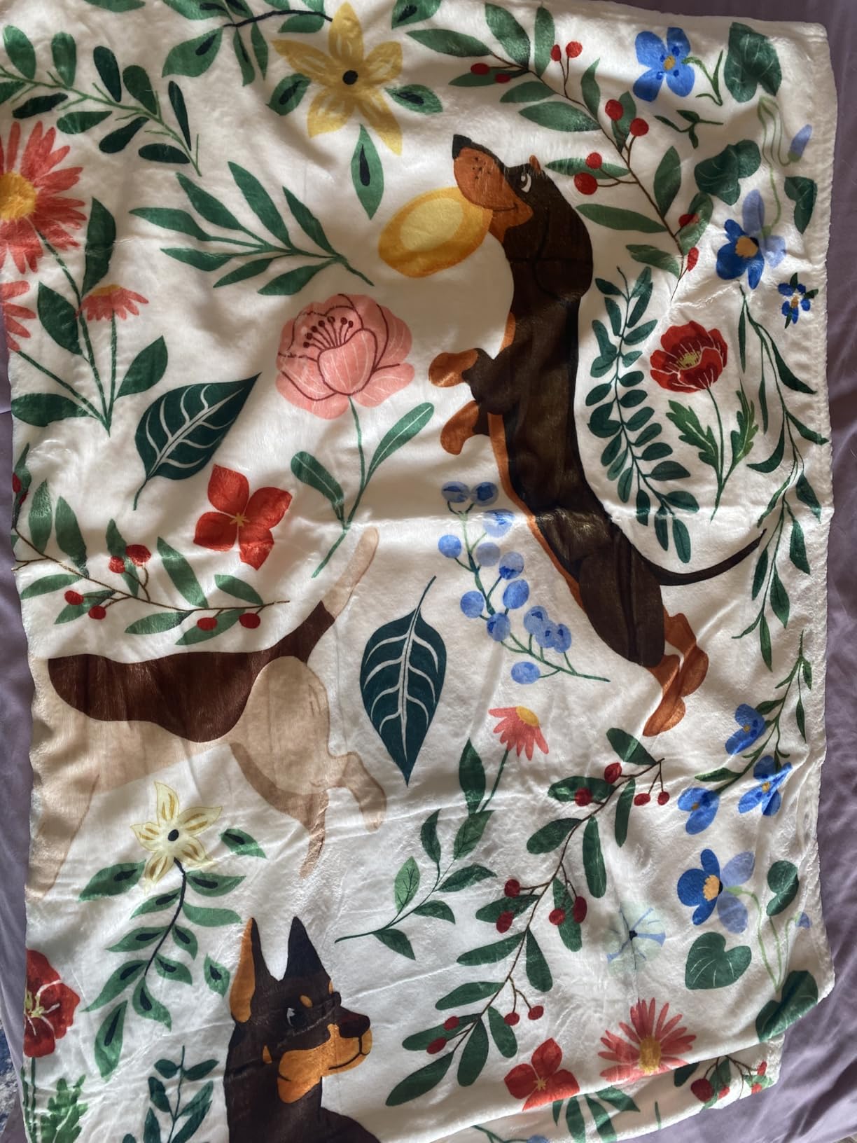Floral Blanket Vintage Flowers Blankets Butterfly Wildflowers Throw Blanket Soft Cozy Flannel Fleece Throw Blanket Colorful Daisy Plants Bed Blanket for Couch Sofa, 50