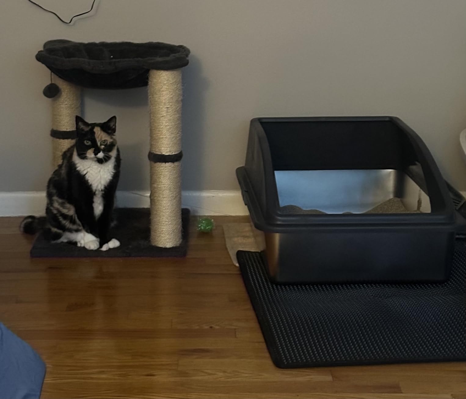 AIPERRO Stainless Steel Litter Box | XL Enclosed Cat Litter Boxes with Lid | High Sided Metal Litter Box for Big Cats | Anti-Urine Leakage | Non-Stick & Easy to Clean | Includes Litter Mat & Metal Scoop customer photo 1