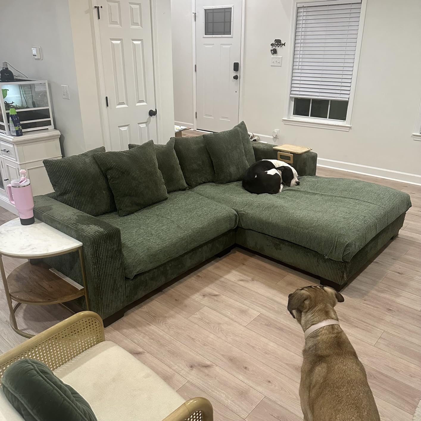 MYSKY HOME Couch Cover for Dogs, Washable Couch Covers, Non Slip Sofa Cover, Couch Cover 2 Cushion Sofa Dogs Furniture Protector with Tassels, Chenille Sofa Slipcover for Pets, 71