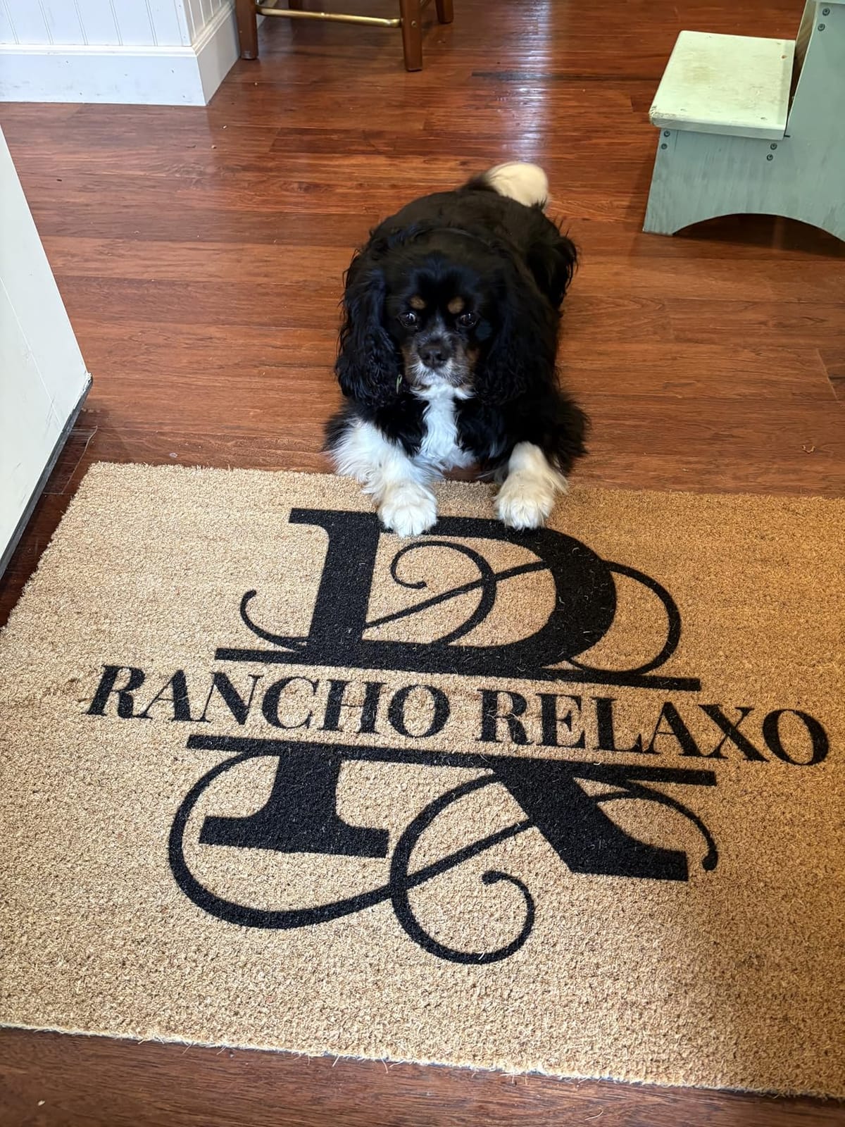 Personalized Split Monogram Coir Doormat 24x36 - Custom Front Door Mat | natural coconut husk, 3/4in thick, printed no decals, add initial, entryway customer photo 1