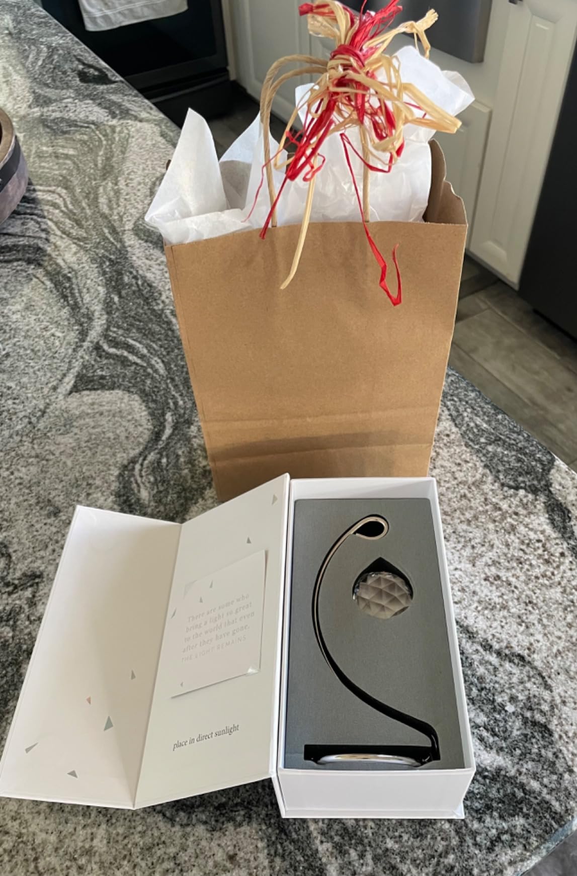 Memorialight Tabletop Sympathy Gift for Loss of Loved Ones, Memorial Gift | Unique Memorial Gift for loss of Mother, Father or Miscarriage, Best for Daily Remembrance, In Memory of Loved Ones Gifts customer photo 2