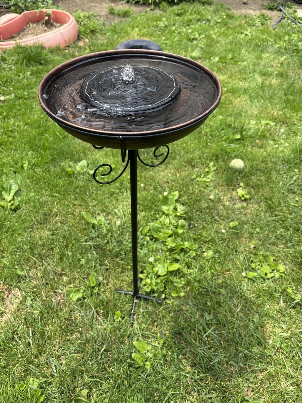Daoeny 35In Metal Bird Bath for Outside, Vintage Freestanding Birdbaths & Birdfeeder, Bird Baths Feeder Bowl for Outdoors Garden Patio Yard Lawn Decor, Upgraded 5-Pronged Base (Antique Bronze) customer photo 2