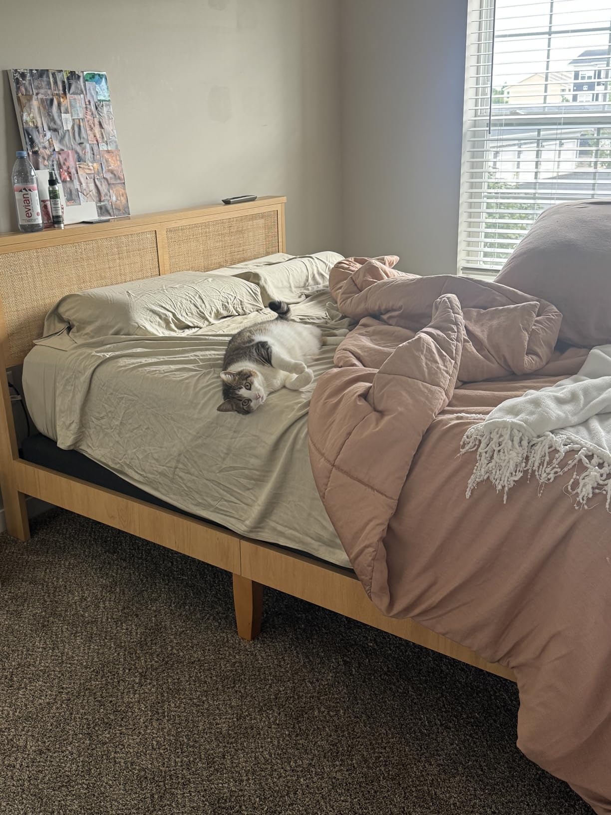 coucheta Bohemian Queen Rattan Bed LED Natural Headboard Bedroom | Bohemian queen rattan bed with natural headboard, LED lights, solid wood frame. No box spring needed for bedroom use. customer photo 2