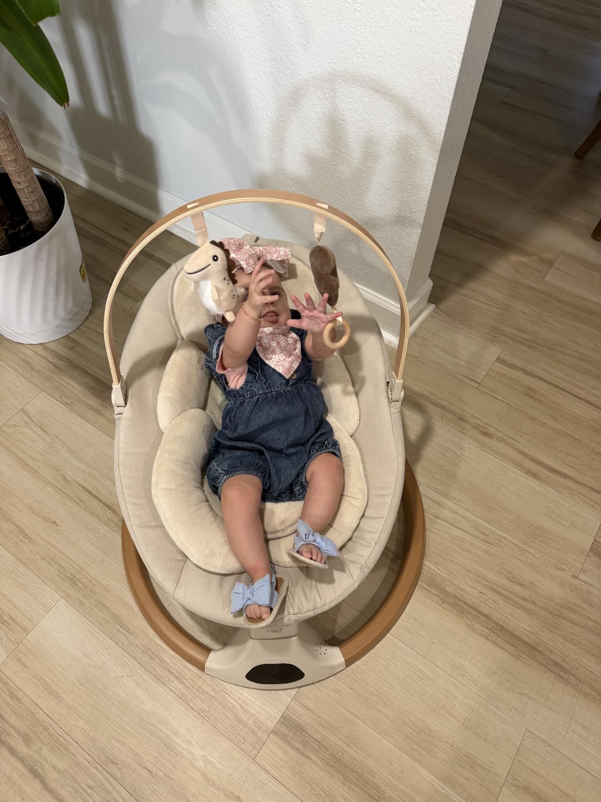 Monamii Baby Swings for Infants, Bluetooth Infant Swing with Music Speaker | 5 Speeds, Remote Control, IMD Touch Panel, 3 Timer Settings, Indoor & Outdoor Use customer photo 1