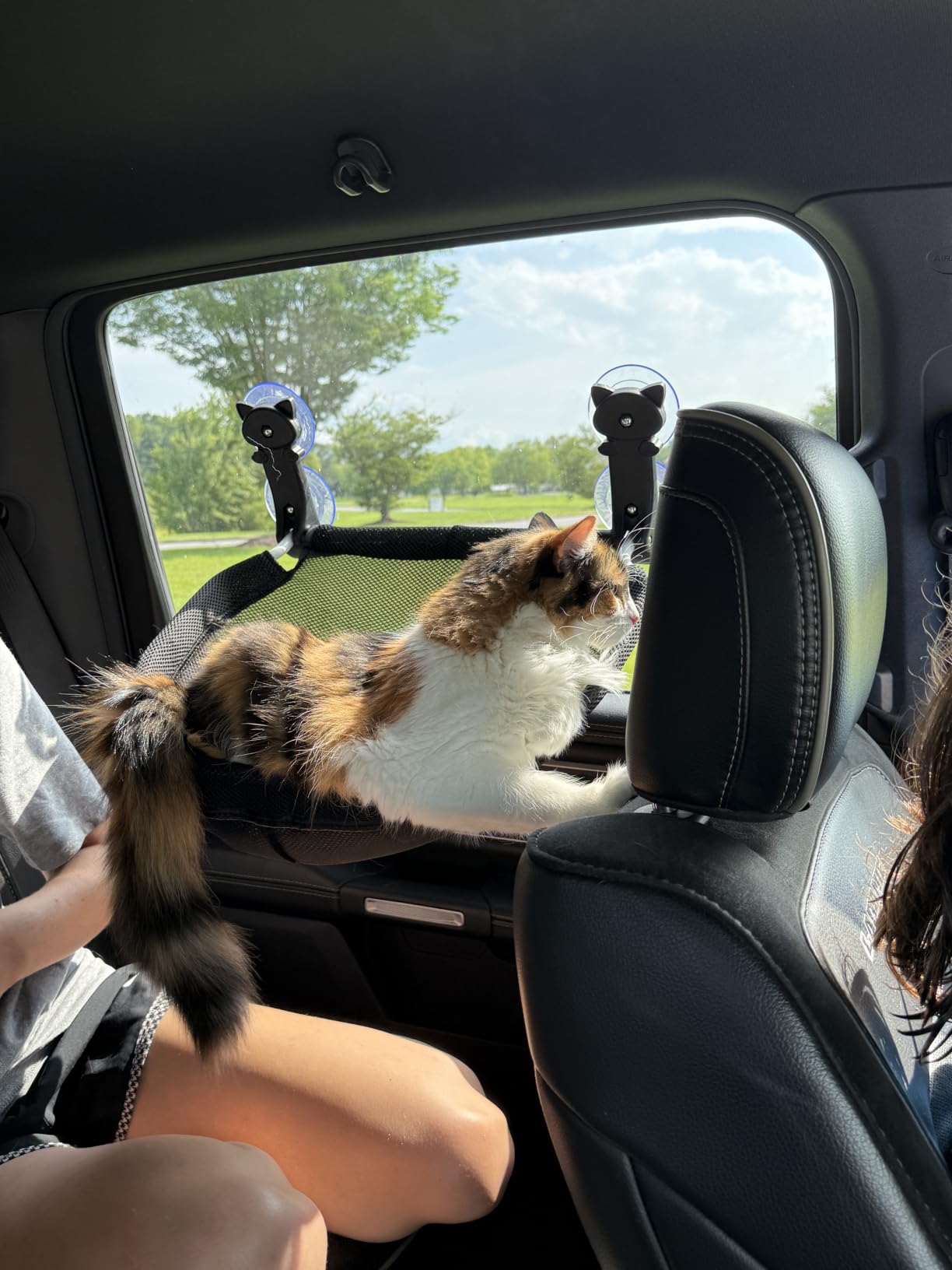 JUNSPOW Cat Window Perch Cordless, Foldable & Stable Cat Beds- Breathable Cat Window Hammock for Overlooking, Sunbathing and Climbing - Maximum Hold Up to 40lb customer photo 2