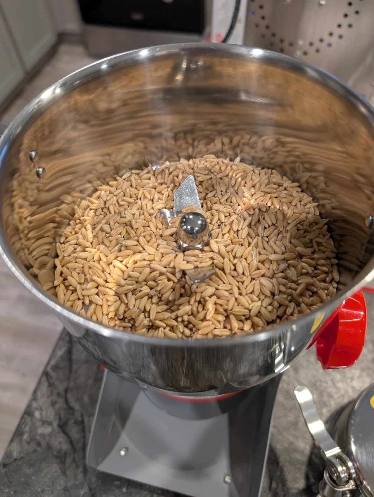 3000W Electric Grain Mill Grinder, 800g Stainless Steel Flour Mill Grinder for Home Use, High Speed Commercial Pulverizer for Dry Grains Spices Coffee Corn Pepper, Swing Type customer photo 2