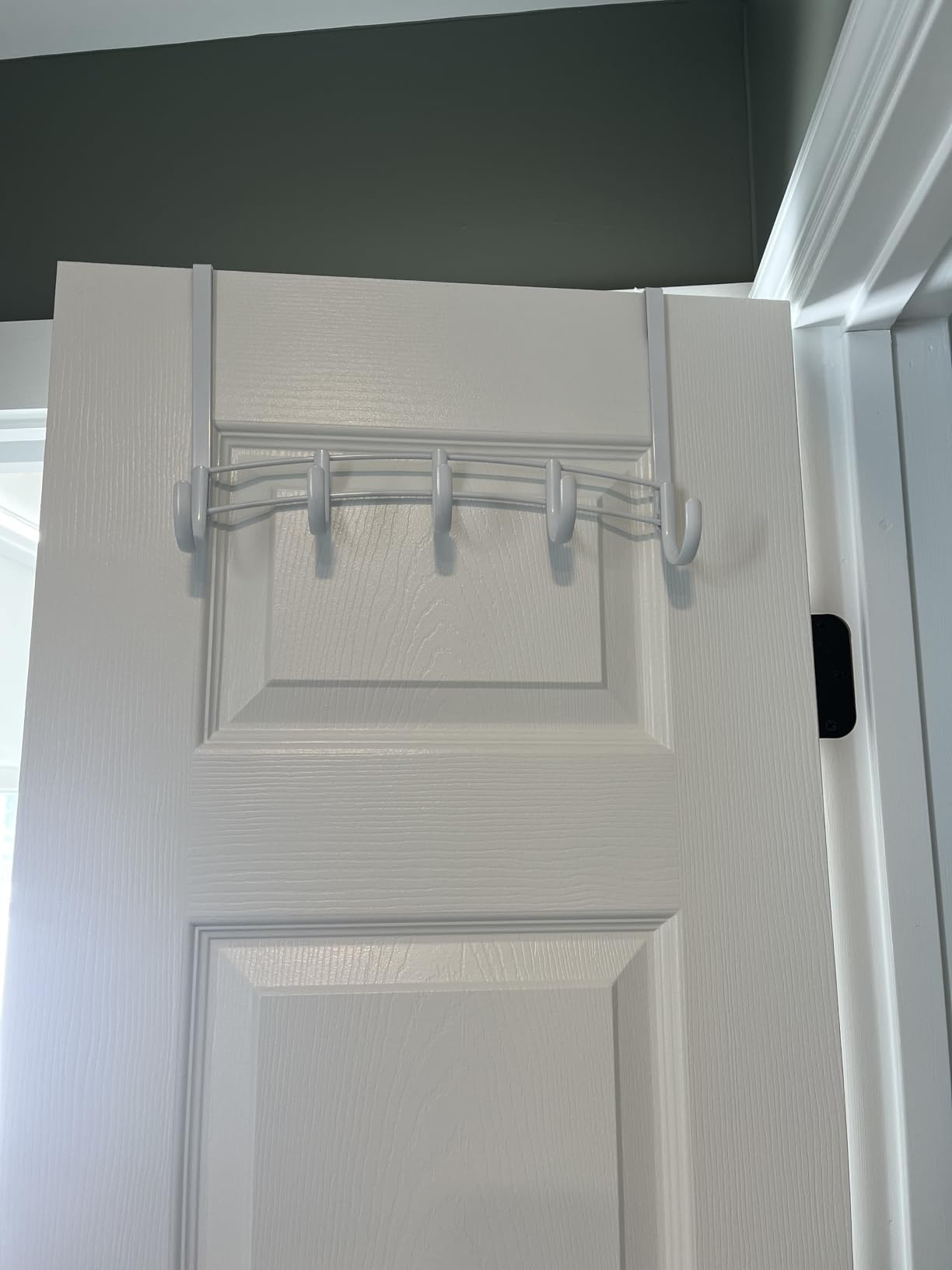 LYNK Professional Home Over the Door Hooks - 9 Hook - Over the Door Coat Rack - Over the Door Hanger - Hanging Towels or Clothes - Bathroom, Bedroom, Laundry Room - Lifetime Ltd. Warranty, Black customer photo 2
