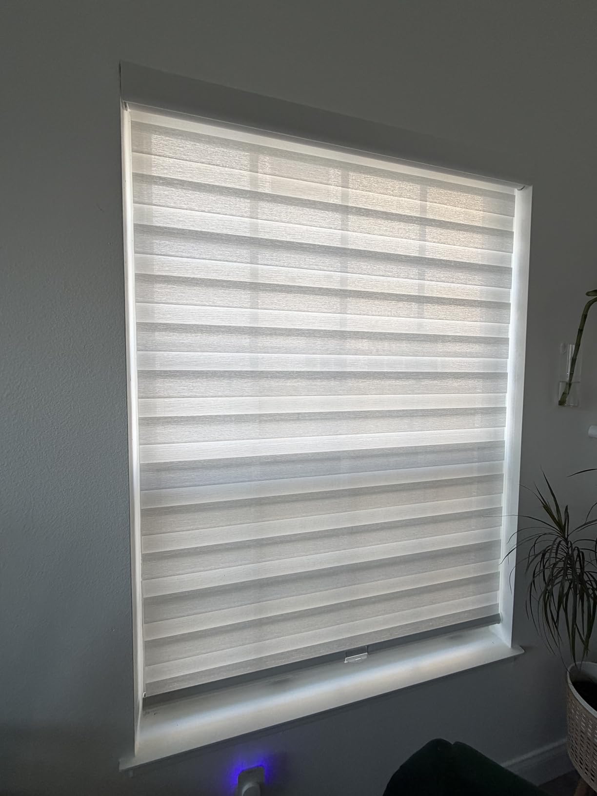 LUCKUP Cordless Zebra Blinds Roller Shades for Window-Dual Layer Sheer Blinds Light Control with Valance Day Night Privacy Light Filtering Fabric, 71