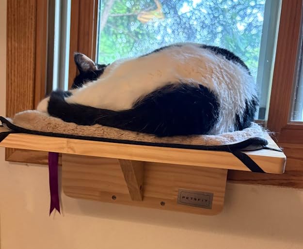 PETSFIT Cat Window Perch for 2 Cats, Adjustable, Solid Wood, Removable Mat | Natural Wood Cat Hammock, Tool-Free Assembly, Fits Large Cats, Windowsill Bedside Drawer Use, Washable Cushion Included customer photo 2