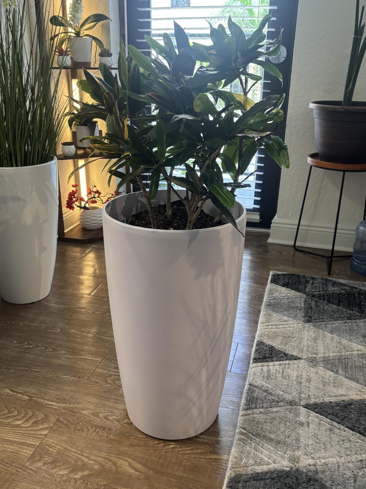 SnugNiture Set of 2 Round Tall Planters 22 Inch, Large Planter for Indoor Outdoor Plants, Modern Flower Pot Containers Large Decorative Tree Planter, Black customer photo 1