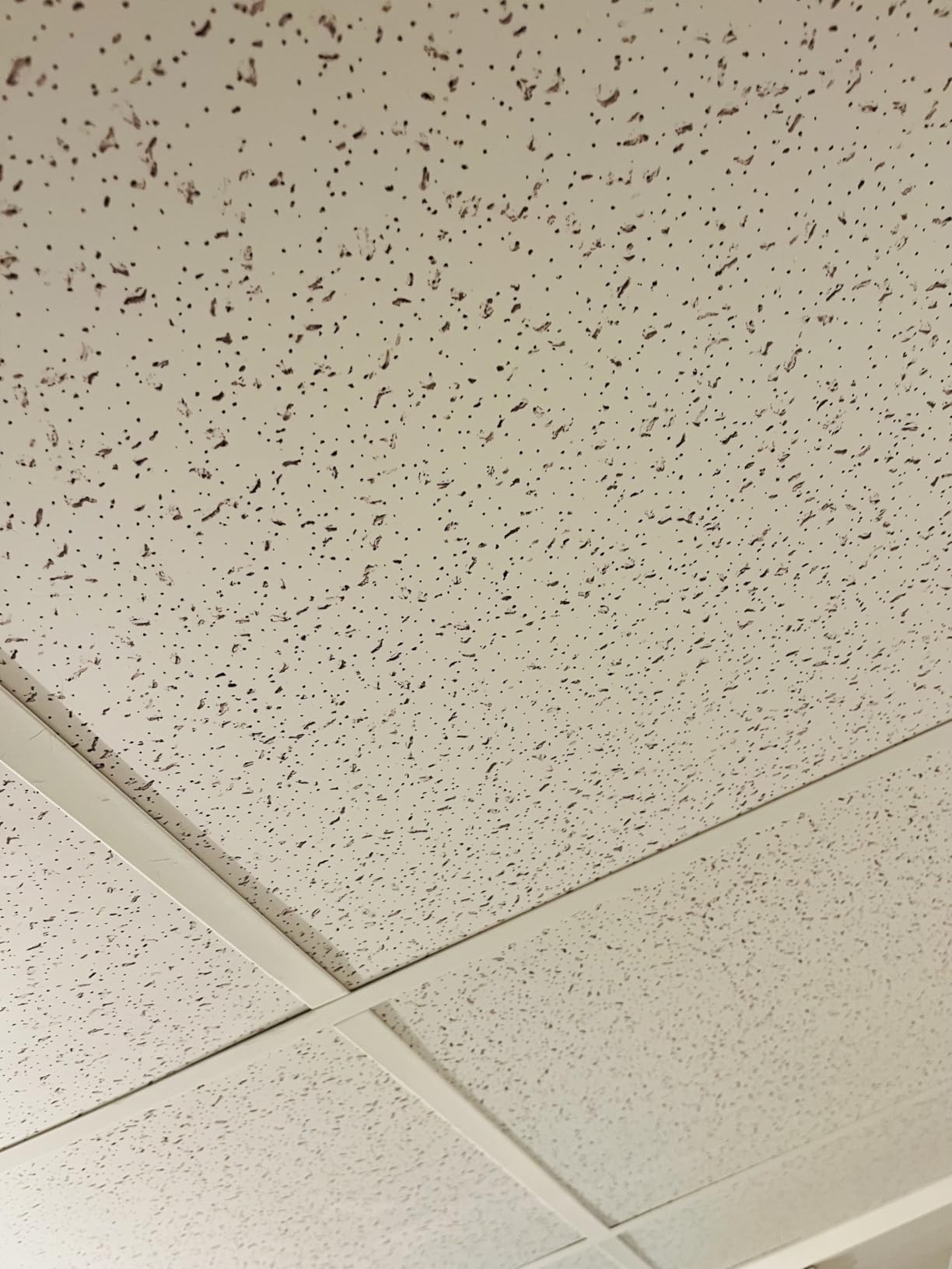 Fasarxiu 2ft x 4ft Printed Pro Ceiling Tiles Waterproof, Washable and Fire-Rated- High-Grade PVC Ceiling Tiles 24