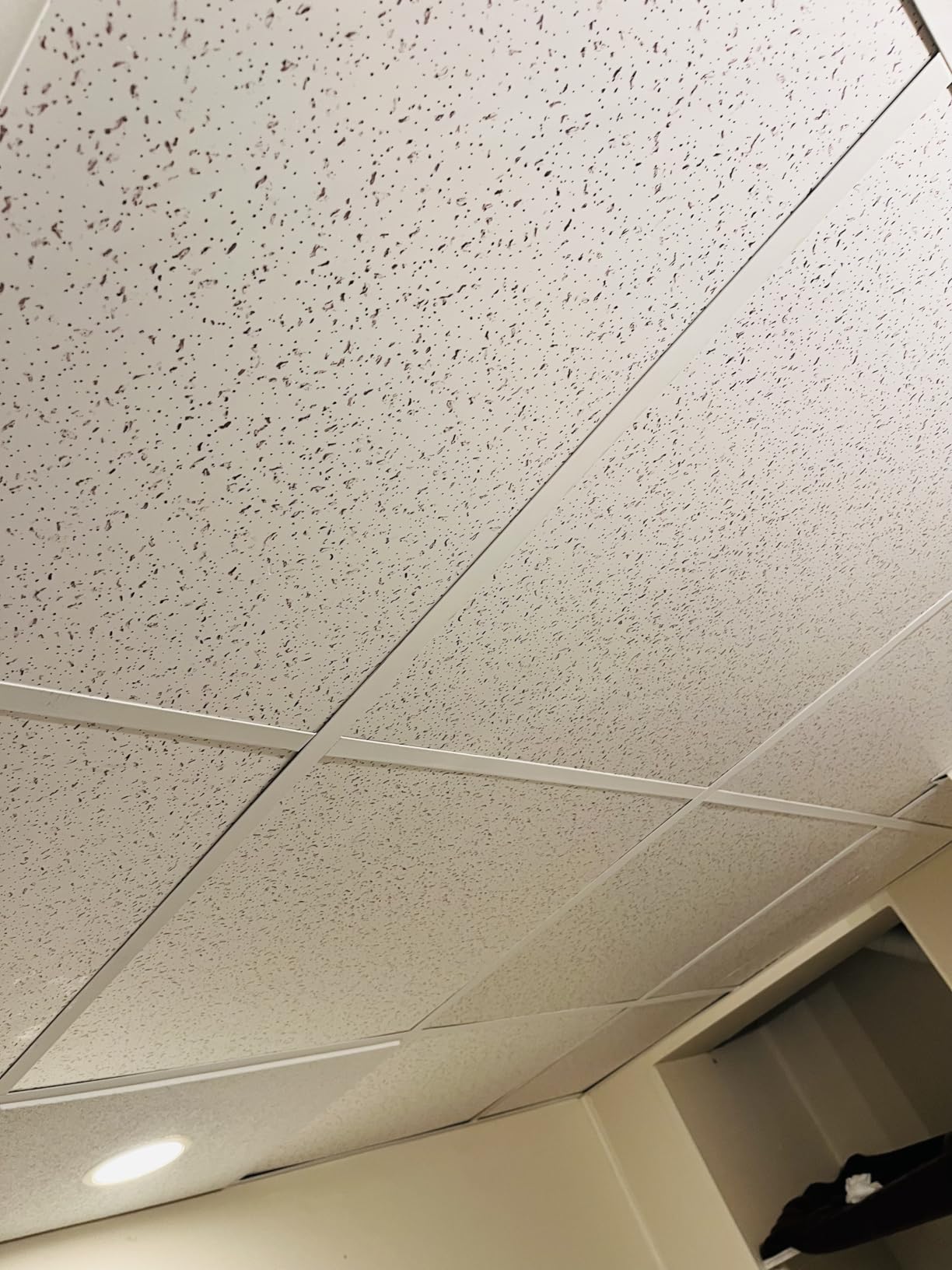 Fasarxiu 2ft x 4ft Printed Pro Ceiling Tiles Waterproof, Washable and Fire-Rated- High-Grade PVC Ceiling Tiles 24