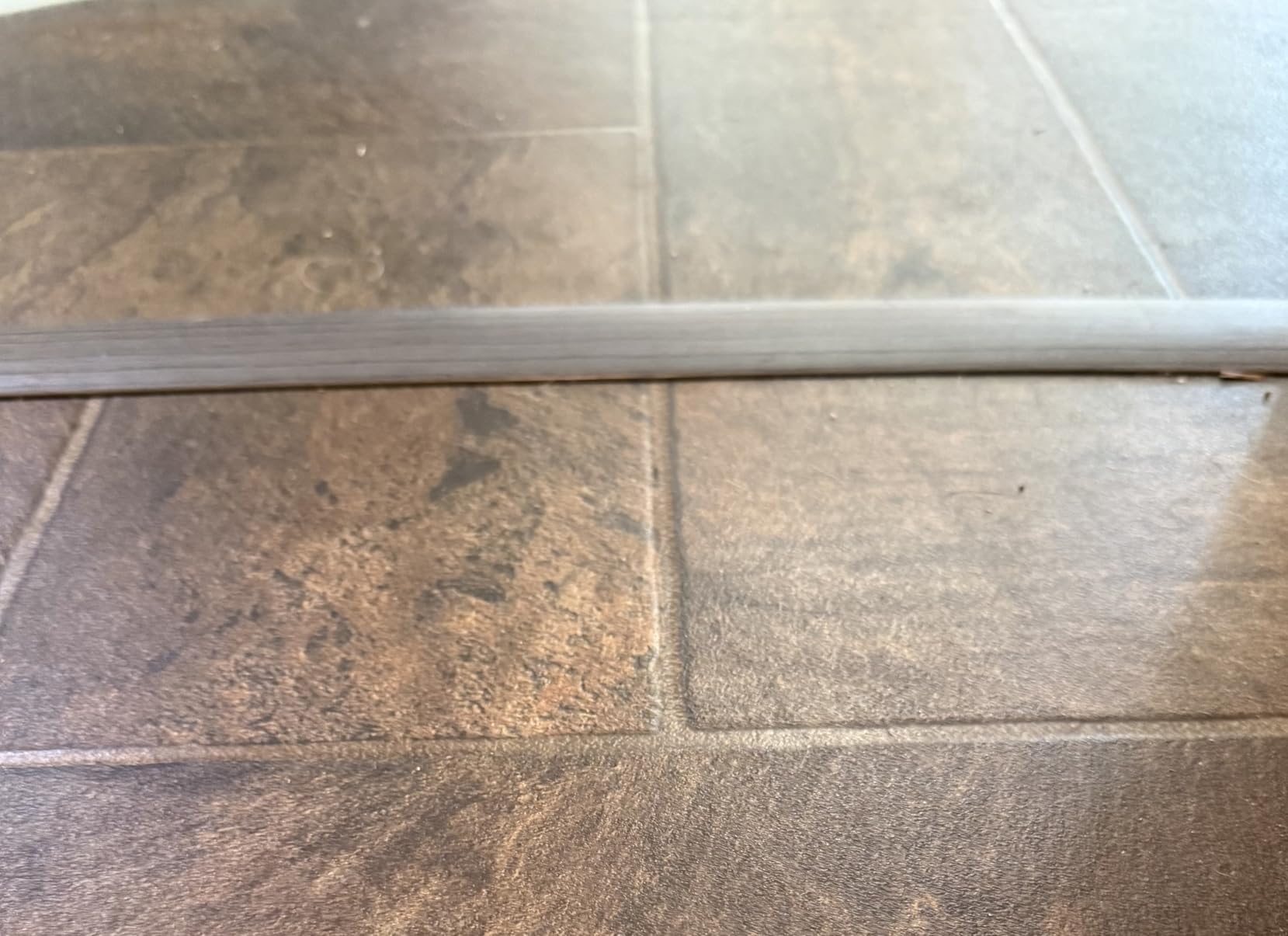 Floor Transition Strip for Carpet to Tile, Grey Wood, 4' x 1.57