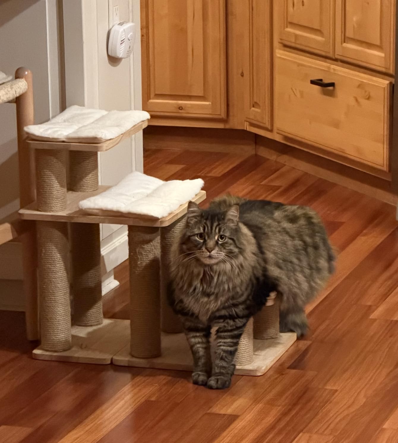 FUKUMARU Dog Stairs, Solid Wood Pet Stairs with Cat Scratching Post | Transformable Cat Step Hold Up to 200 lbs, 20