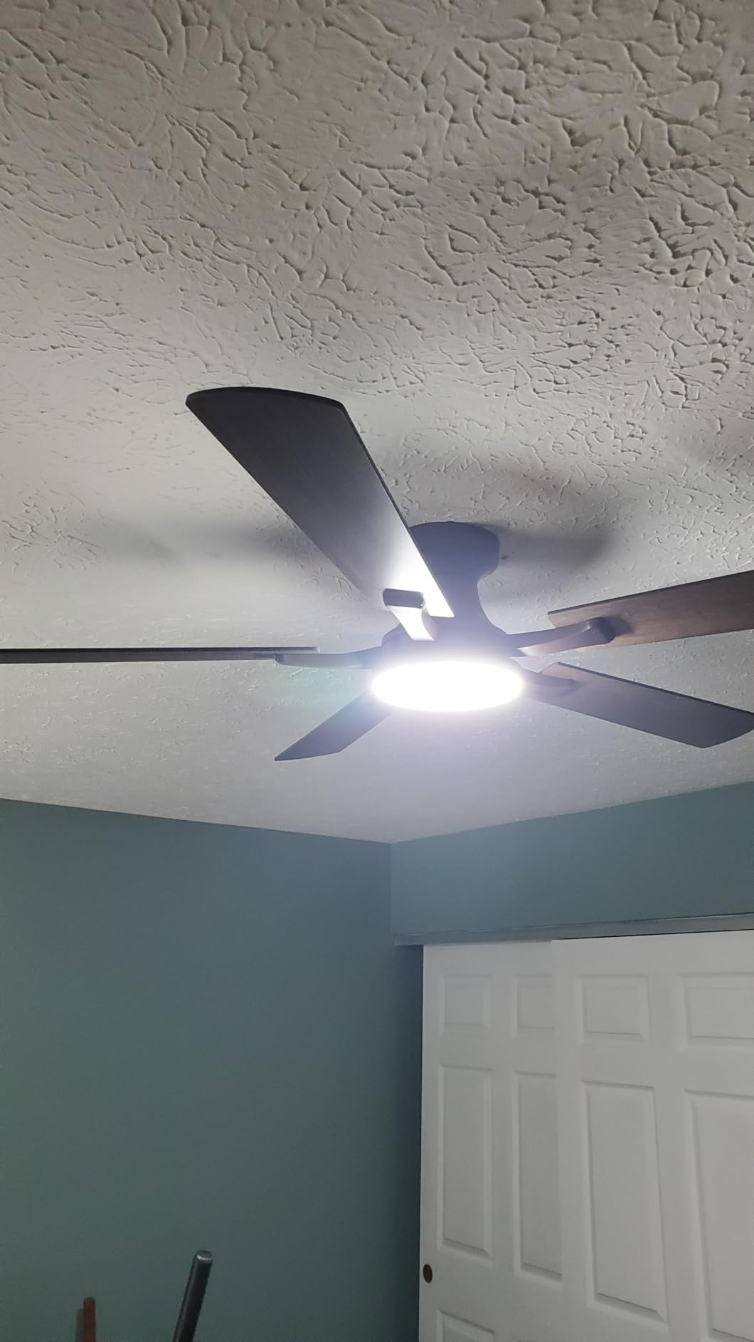 ZMISHIBO 52 Inch Ceiling Fans with Lights, Remote&App Control, Flush Mount | Low Profile, Dimmable 20W LED Light, Quiet Reversible Motor, Strong Airflow, Easy Install for Bedroom/Living Room/Apt, Black customer photo 1