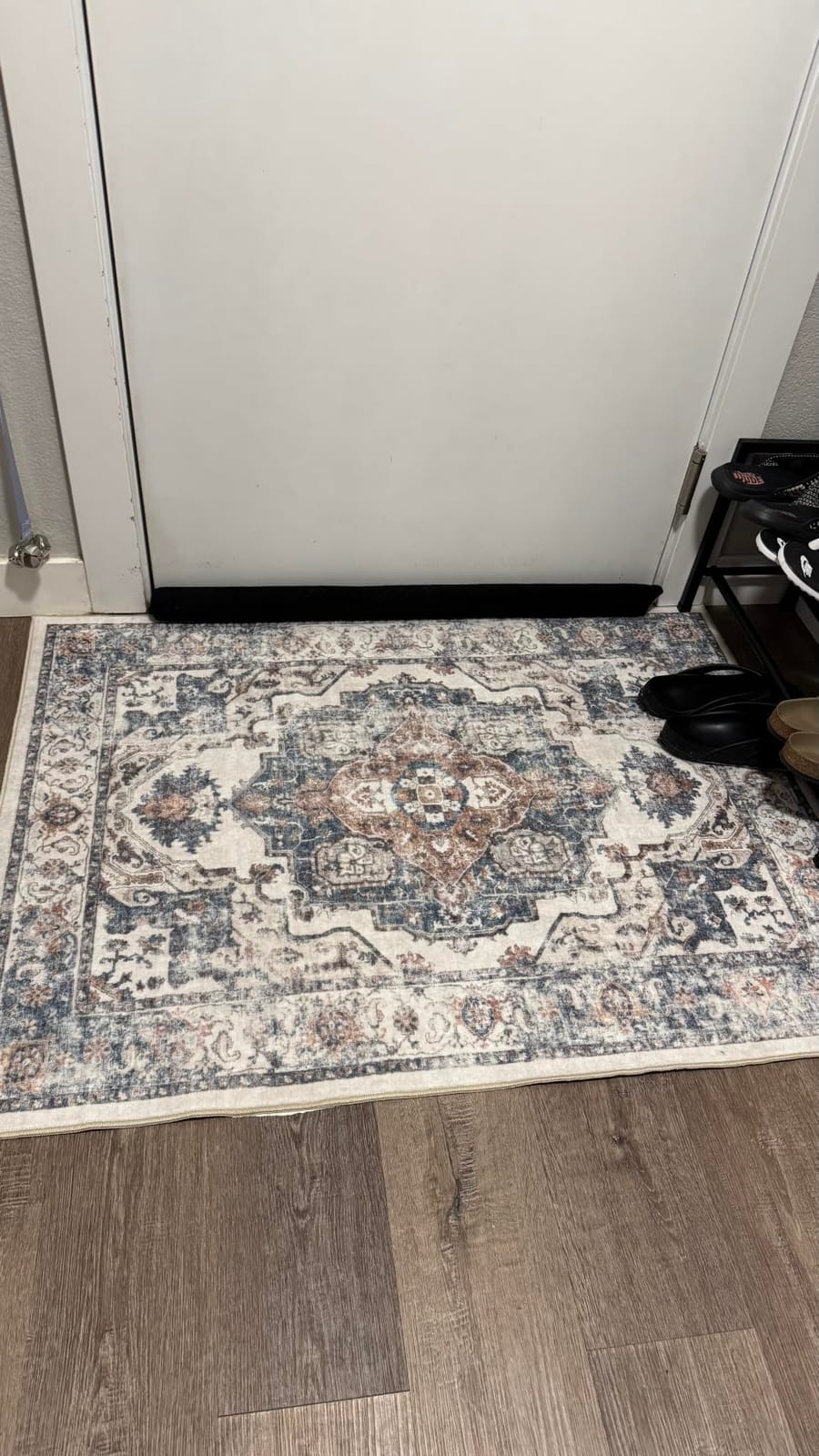 Washable Hallway 3x18 Runner Rug: Vintage Ultra Soft Non Slip Runner for Kitchen Entrance Indoor Farmhouse Long Carpet for Living Room Bathroom Low Pile Floor Mat for Bedroom Dining Room (3X18, Beige) customer photo 1