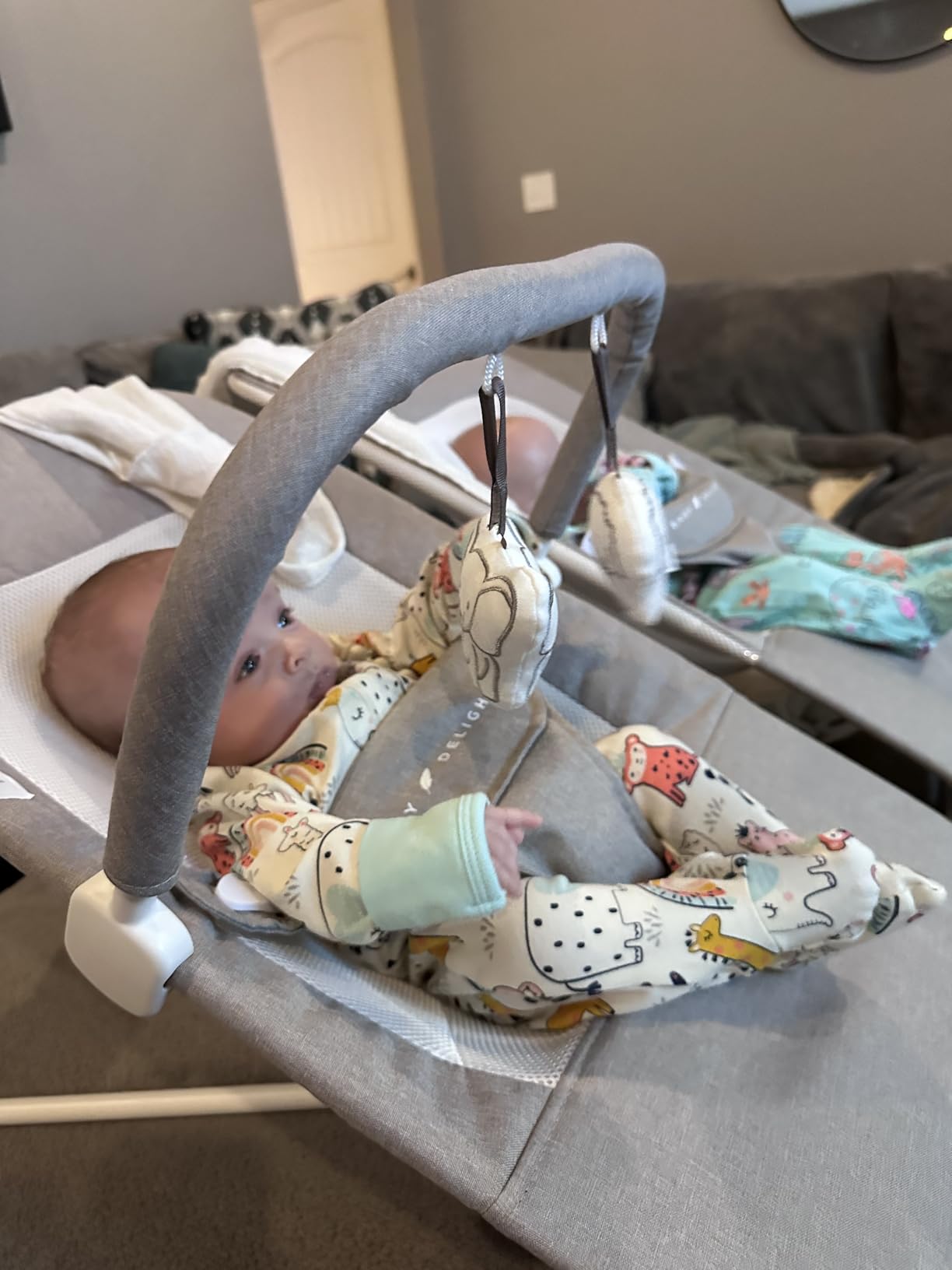 Baby Delight Highland Baby Bouncer, Sage Tweed | For Infants 0-6 Months, 3-Position Recline, Adjustable 3-Point Harness, Secure Locking Mechanism, Folds Flat customer photo 1