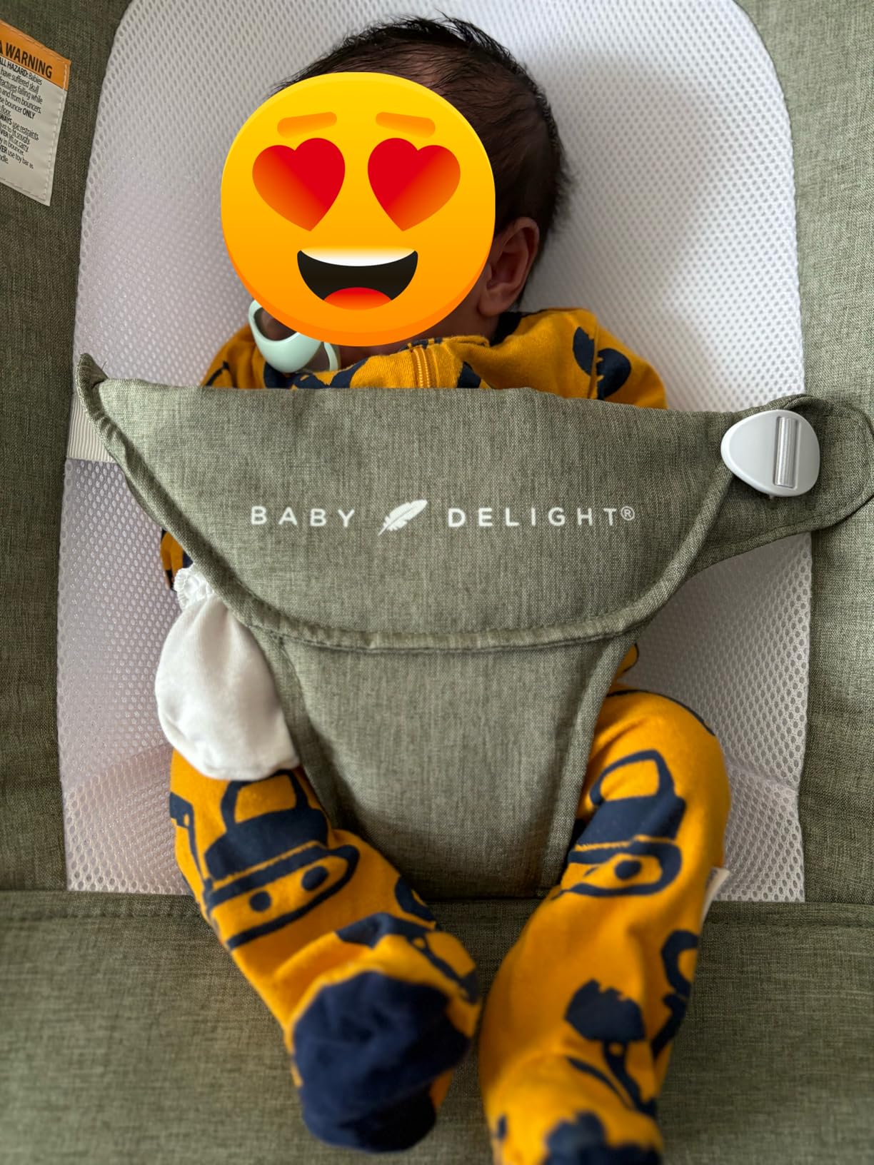 Baby Delight Highland Baby Bouncer, Sage Tweed | For Infants 0-6 Months, 3-Position Recline, Adjustable 3-Point Harness, Secure Locking Mechanism, Folds Flat customer photo 2