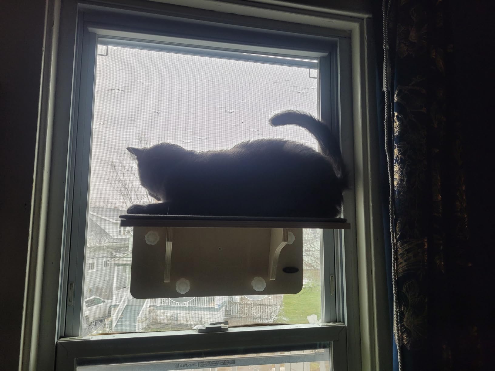 Pecute 2-in-1 Cat Window Perch & Wall Shelves, Cat Hammock Window 16