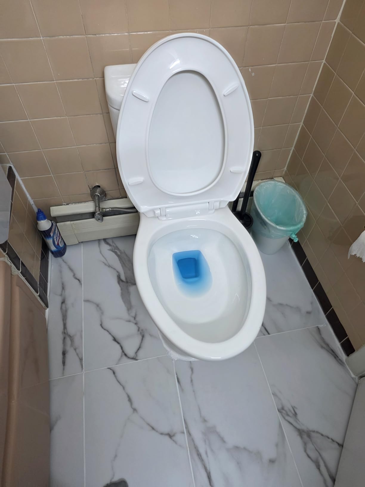 Elongated One Piece Toilet with 17.3