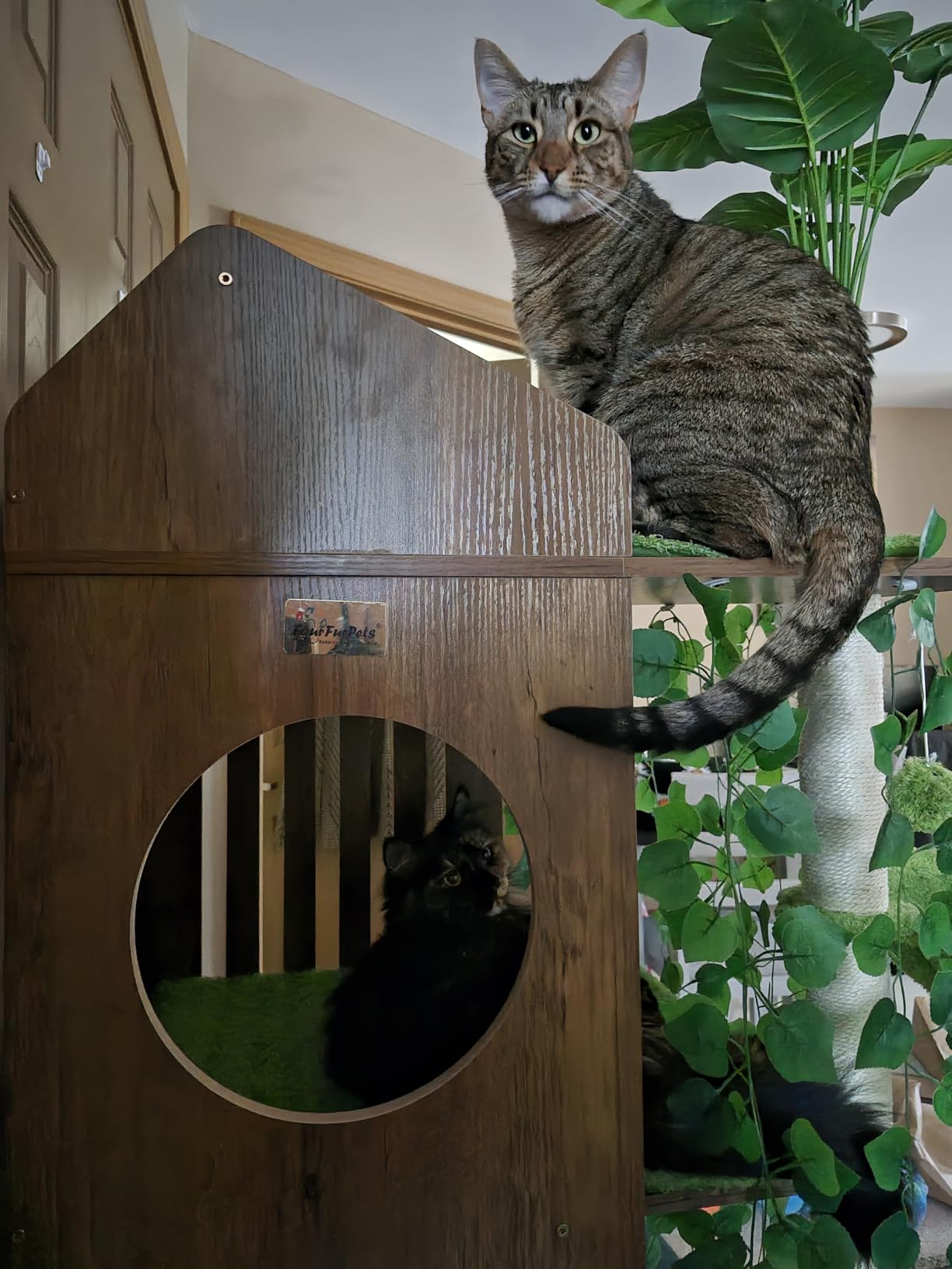 FourFurPets Large Cat Tree with Leaves, 72.8-Inch Cat Tower for Indoor Cats, Modern Cat Tree with Scratching Post, Large Perch, Tunnels, Swing Ball, Self Groomer, Greige customer photo 1
